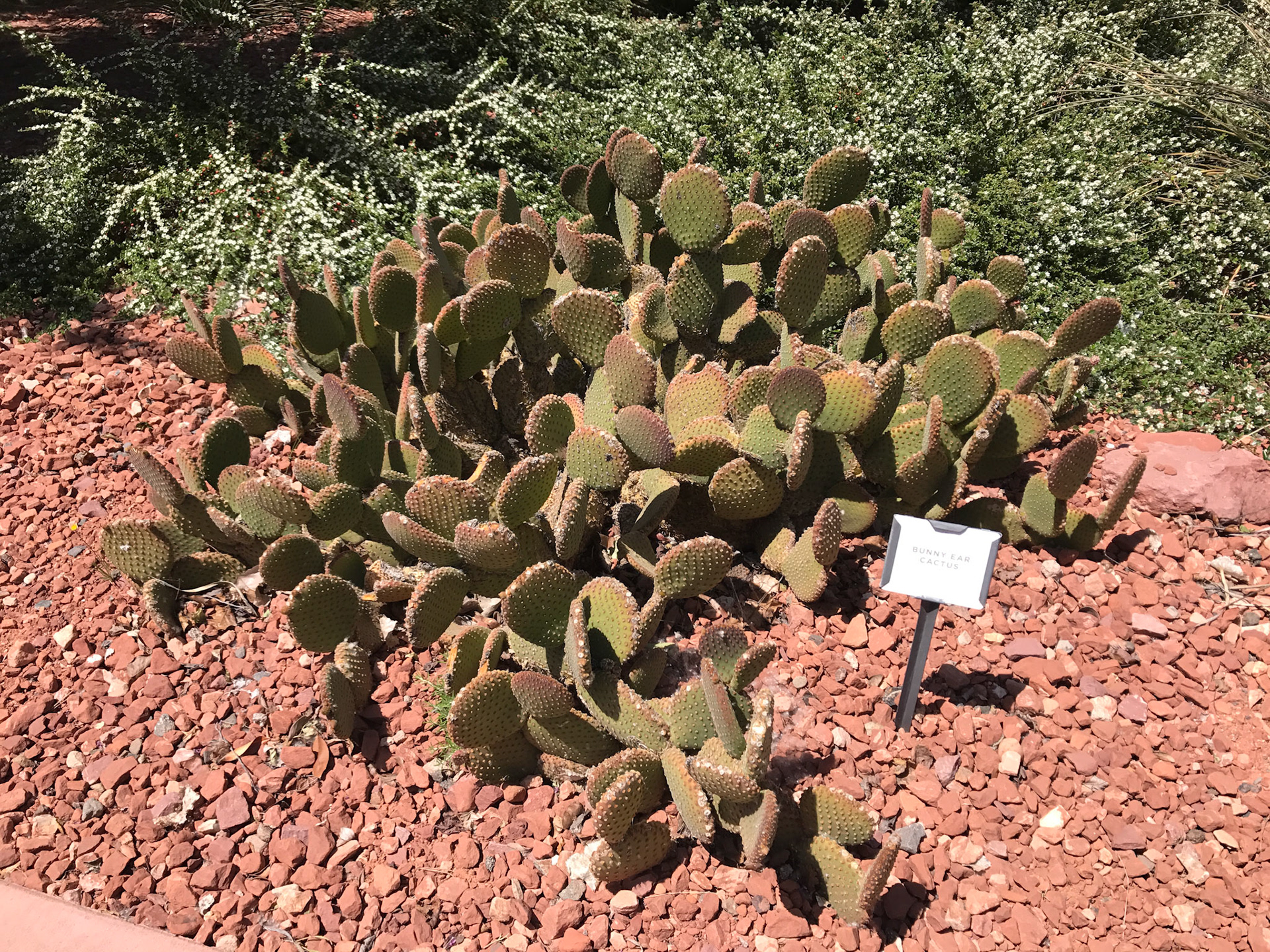 sedona arizona vacation