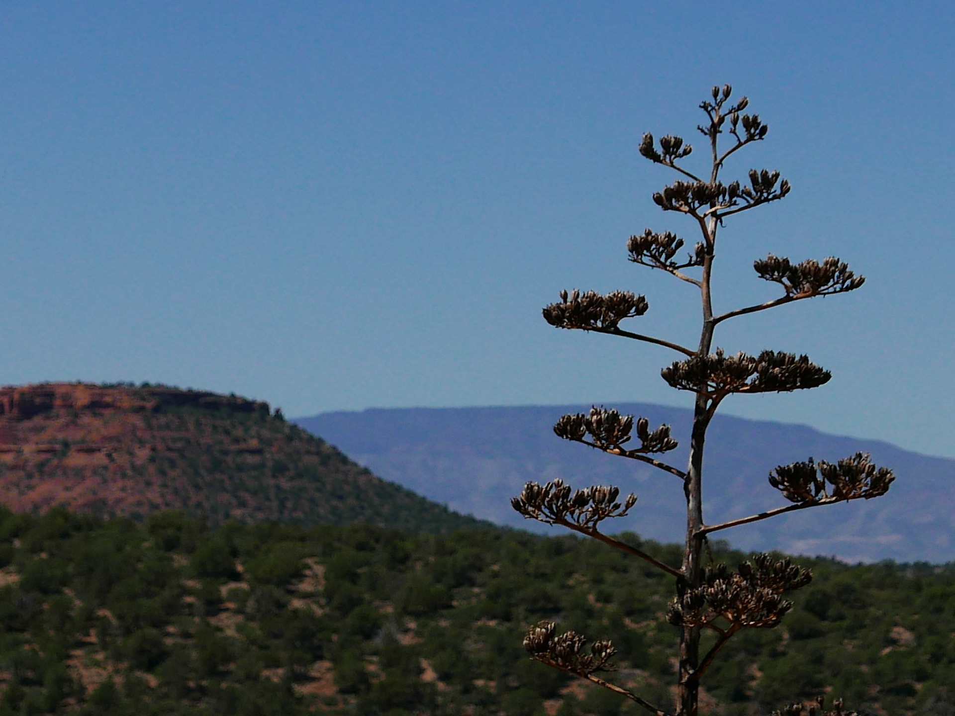 sedona arizona vacation