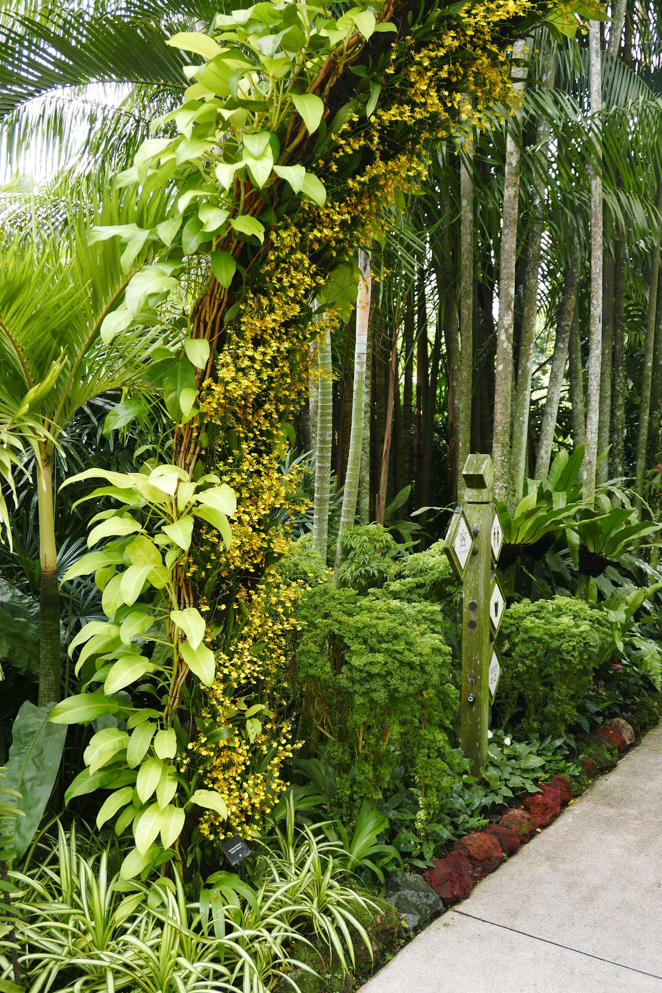singapore vacation