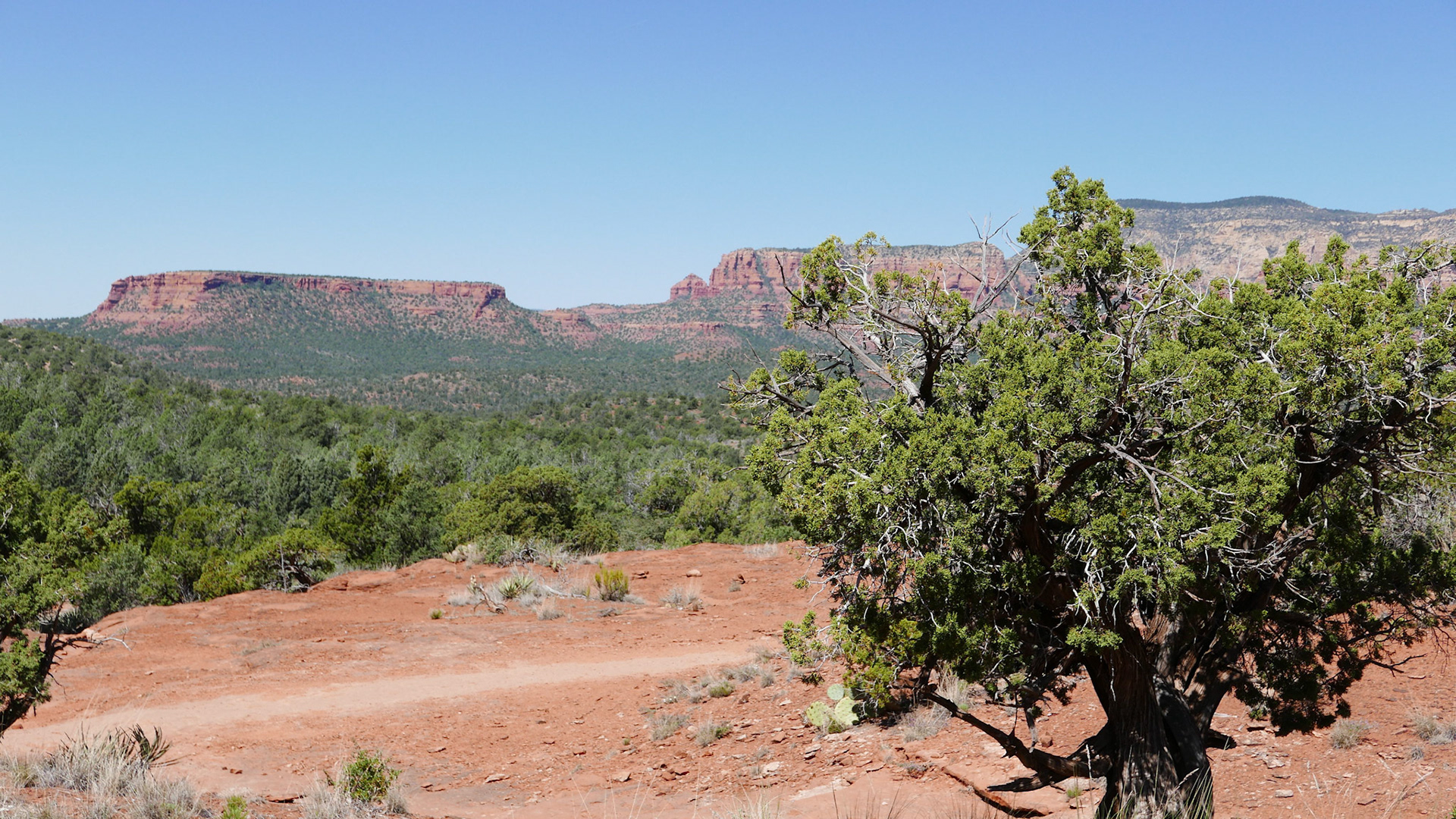 sedona arizona vacation