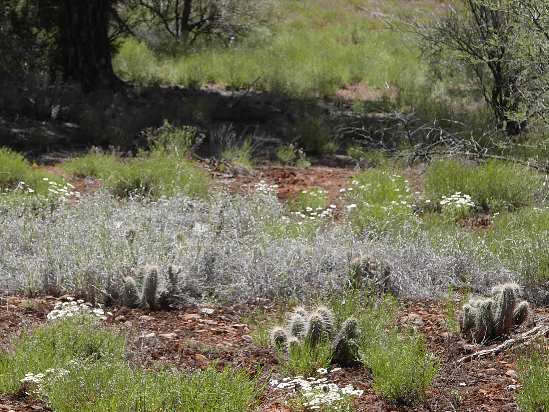 sedona arizona vacation