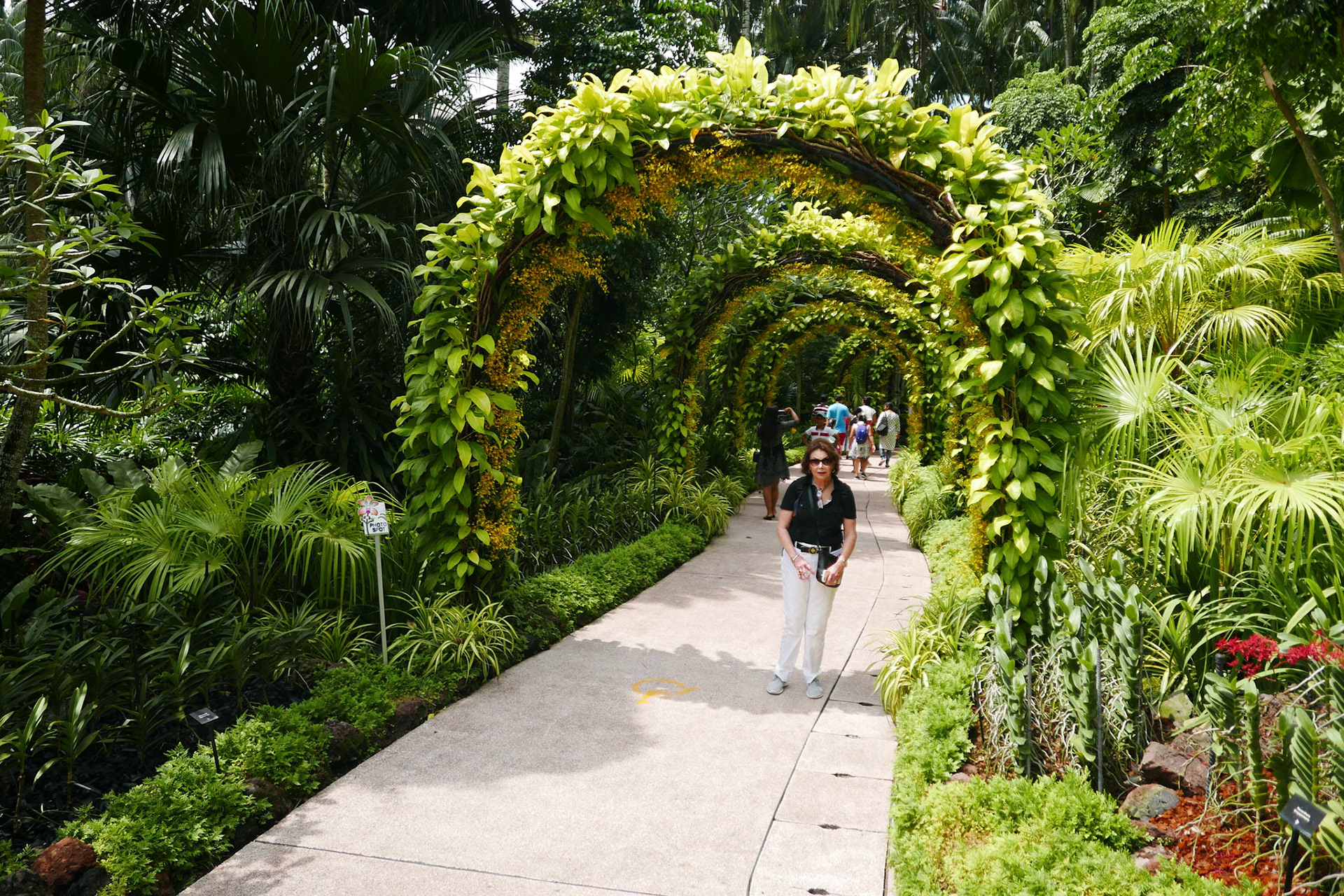 singapore vacation