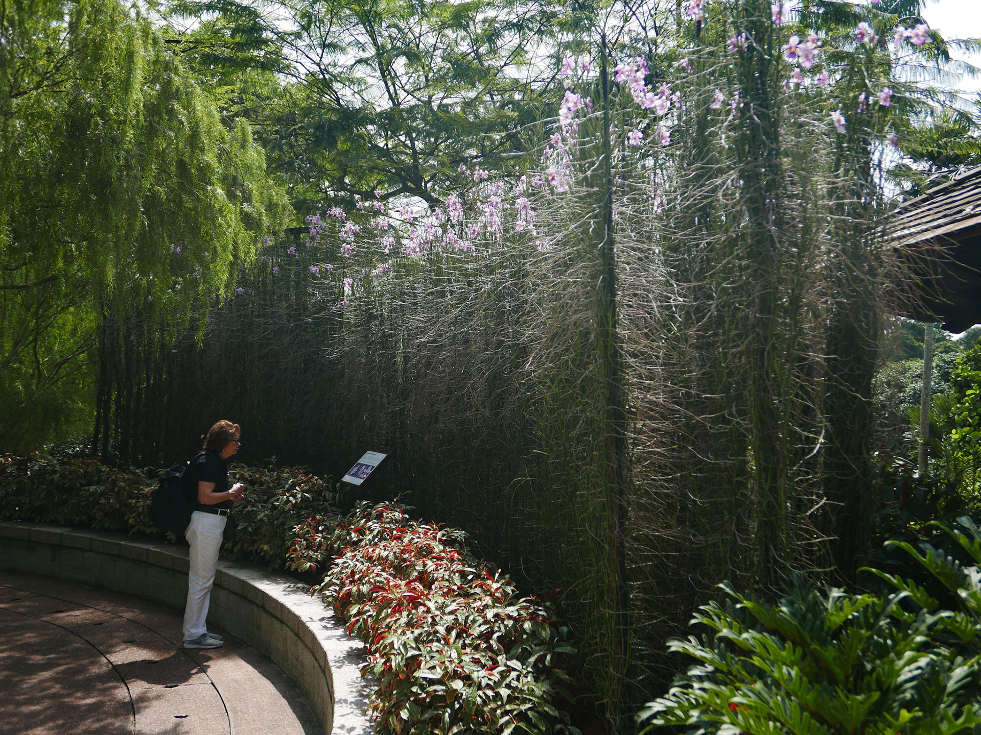 singapore vacation