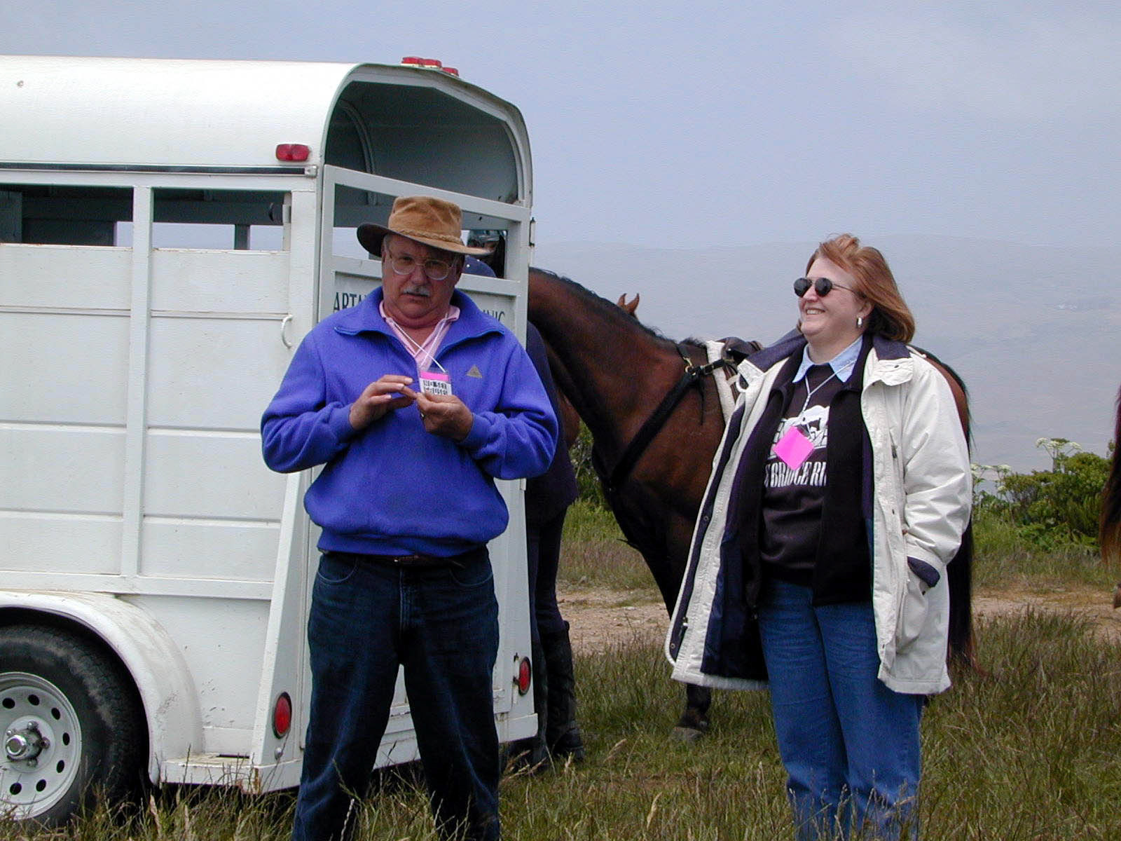 horse