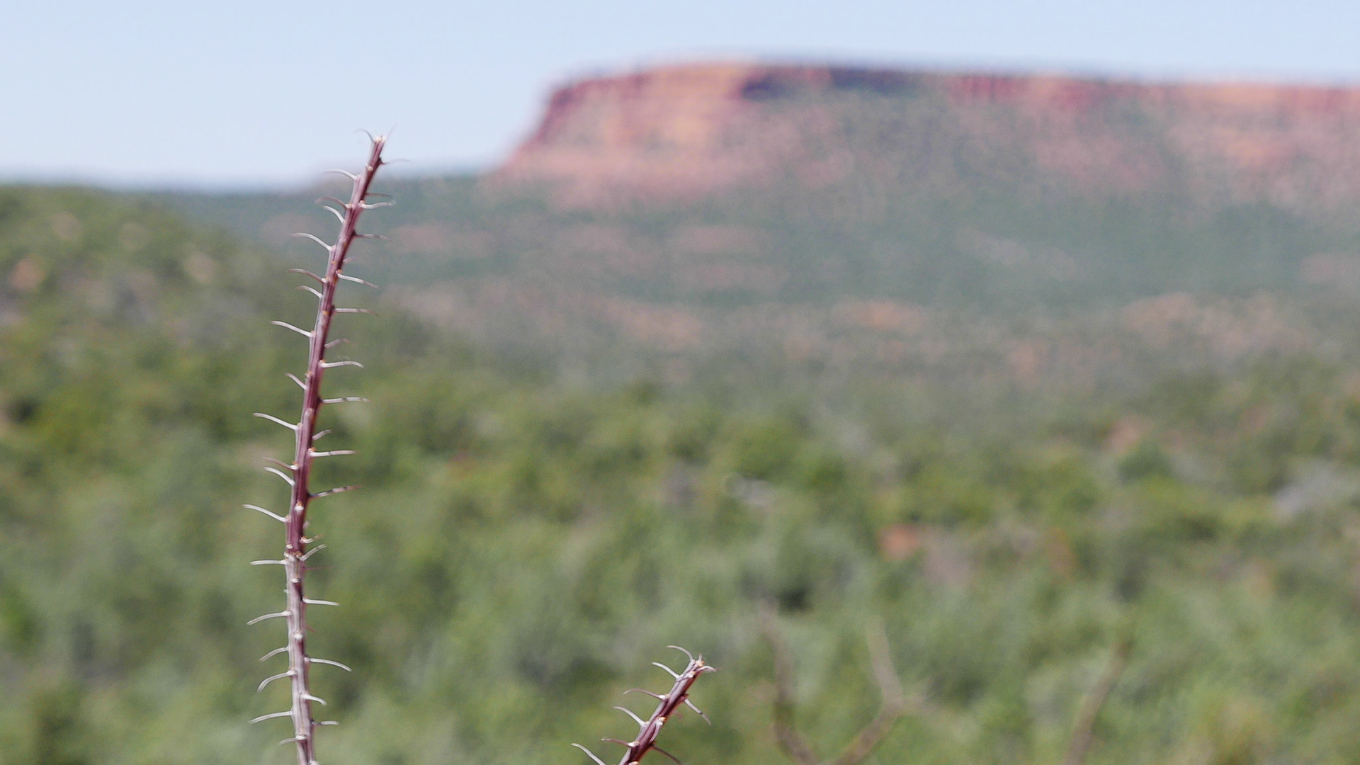 sedona arizona vacation