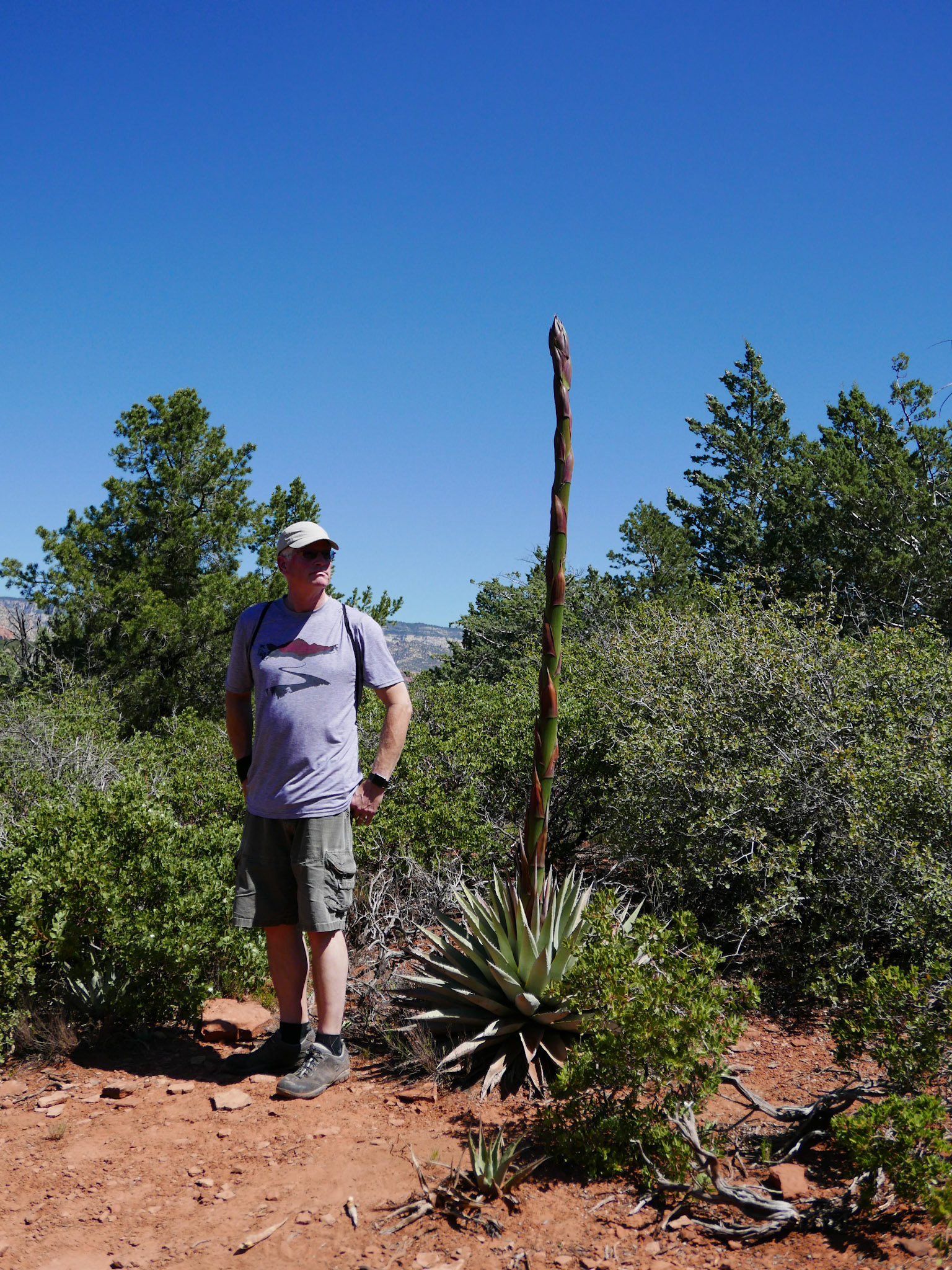 sedona arizona vacation