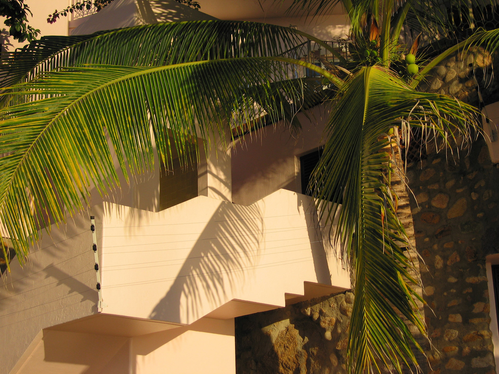 casa cosmos