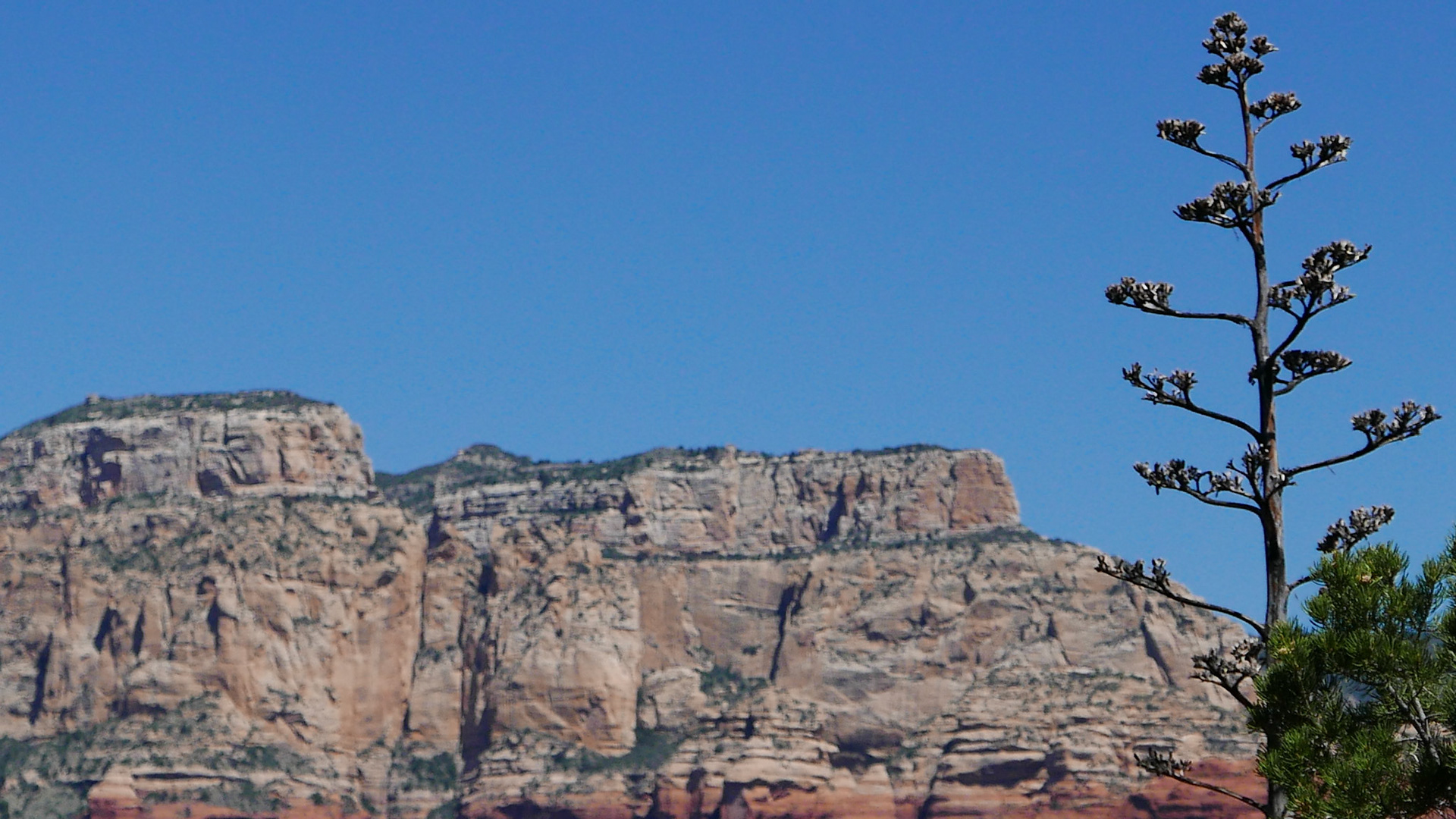 sedona arizona vacation