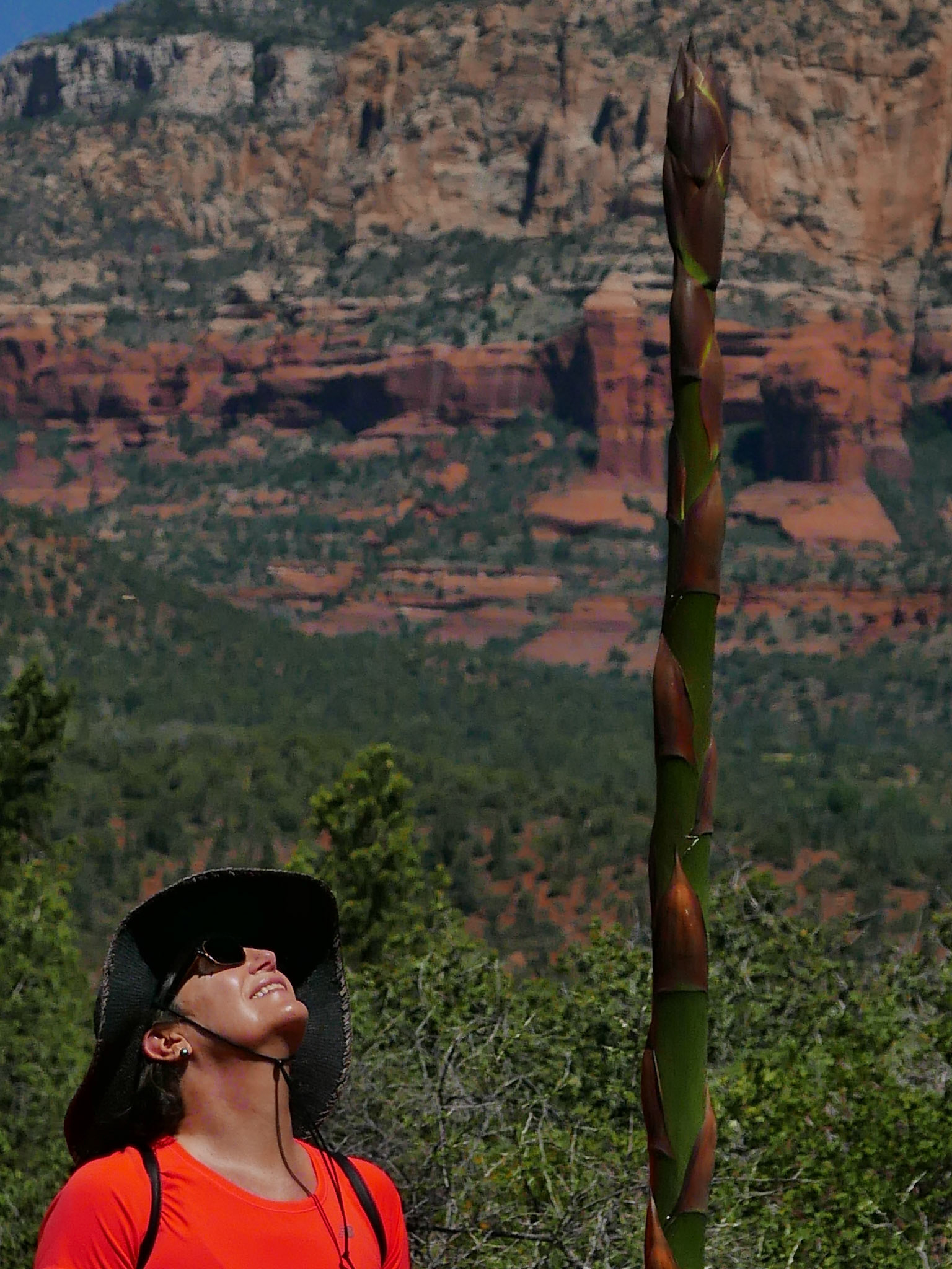 sedona arizona vacation