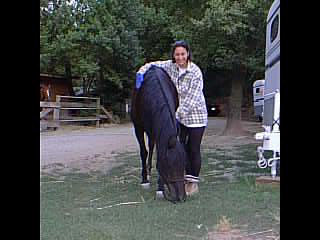 horse