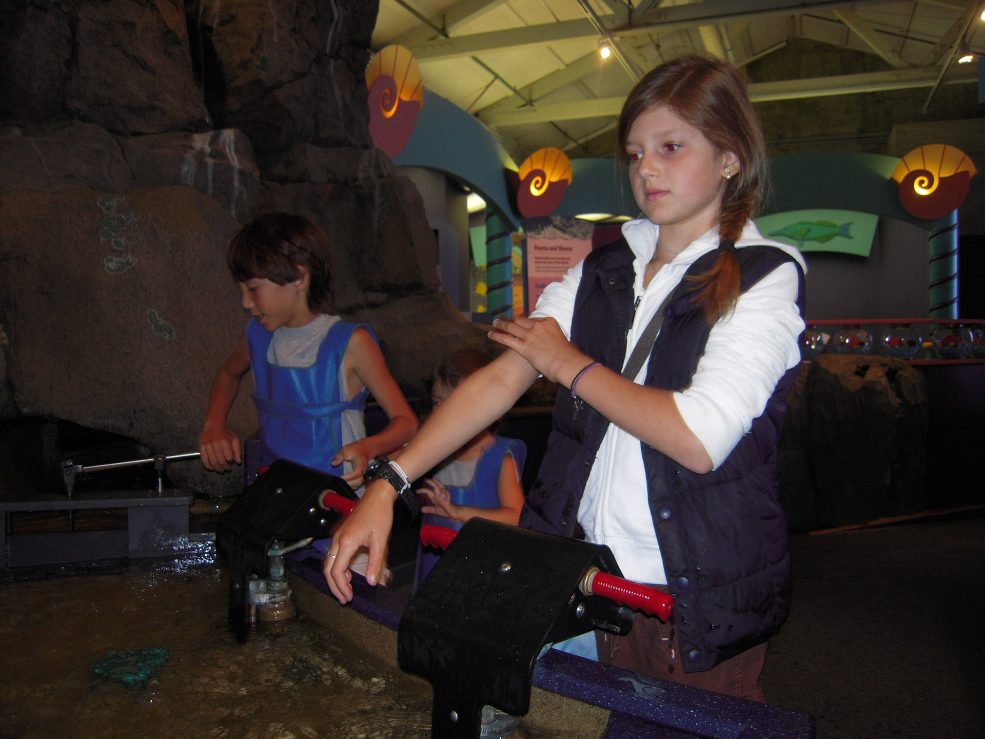monterey bay aquarium