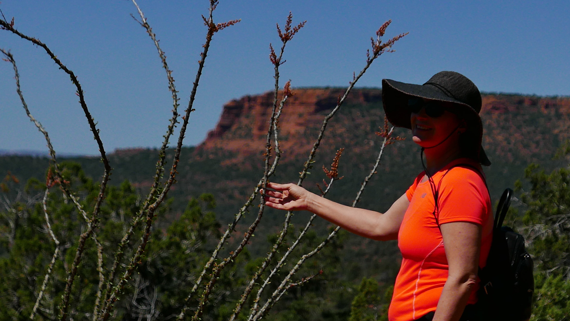 sedona arizona vacation