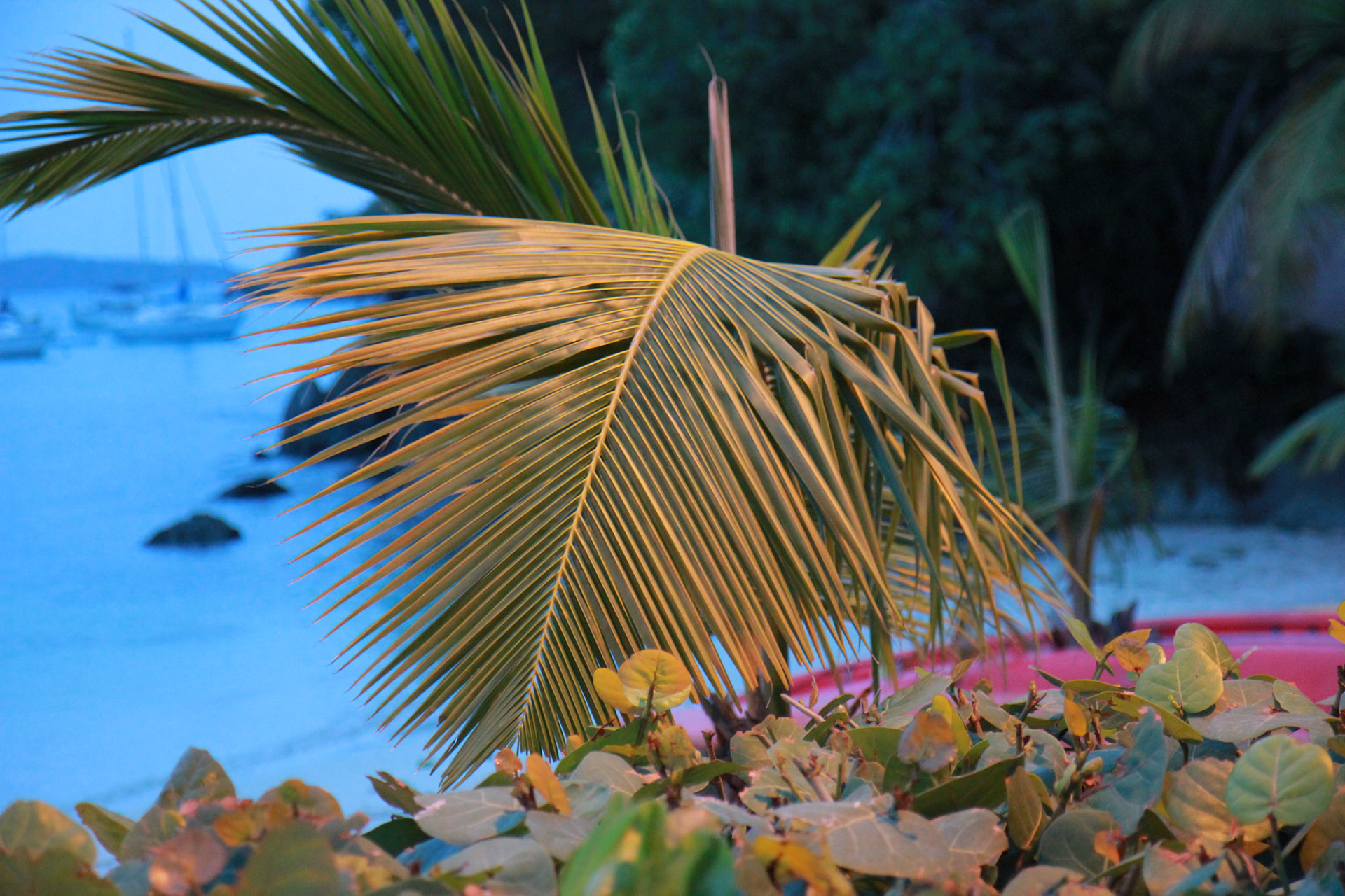 st john vacation