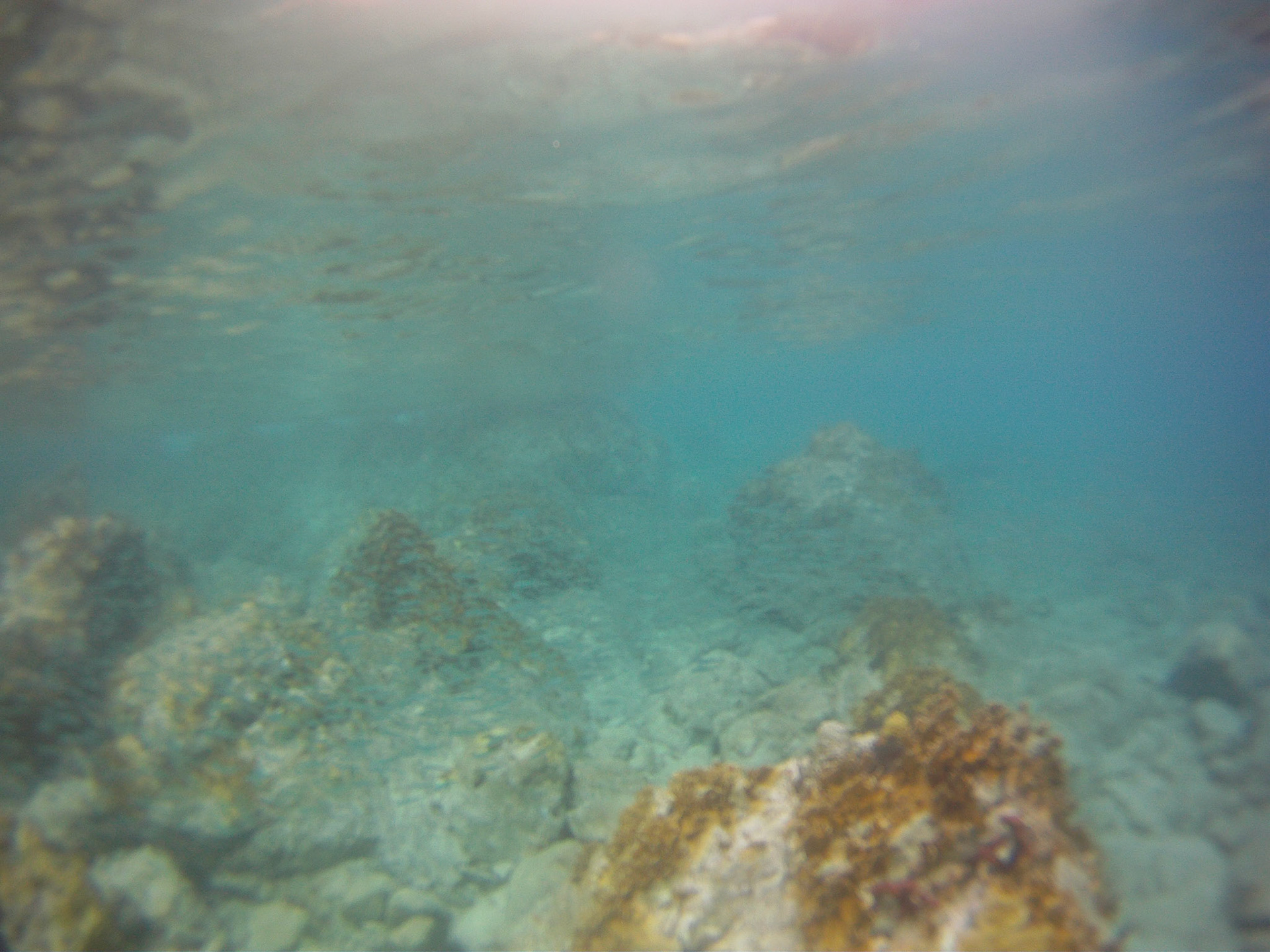 st john vacation
