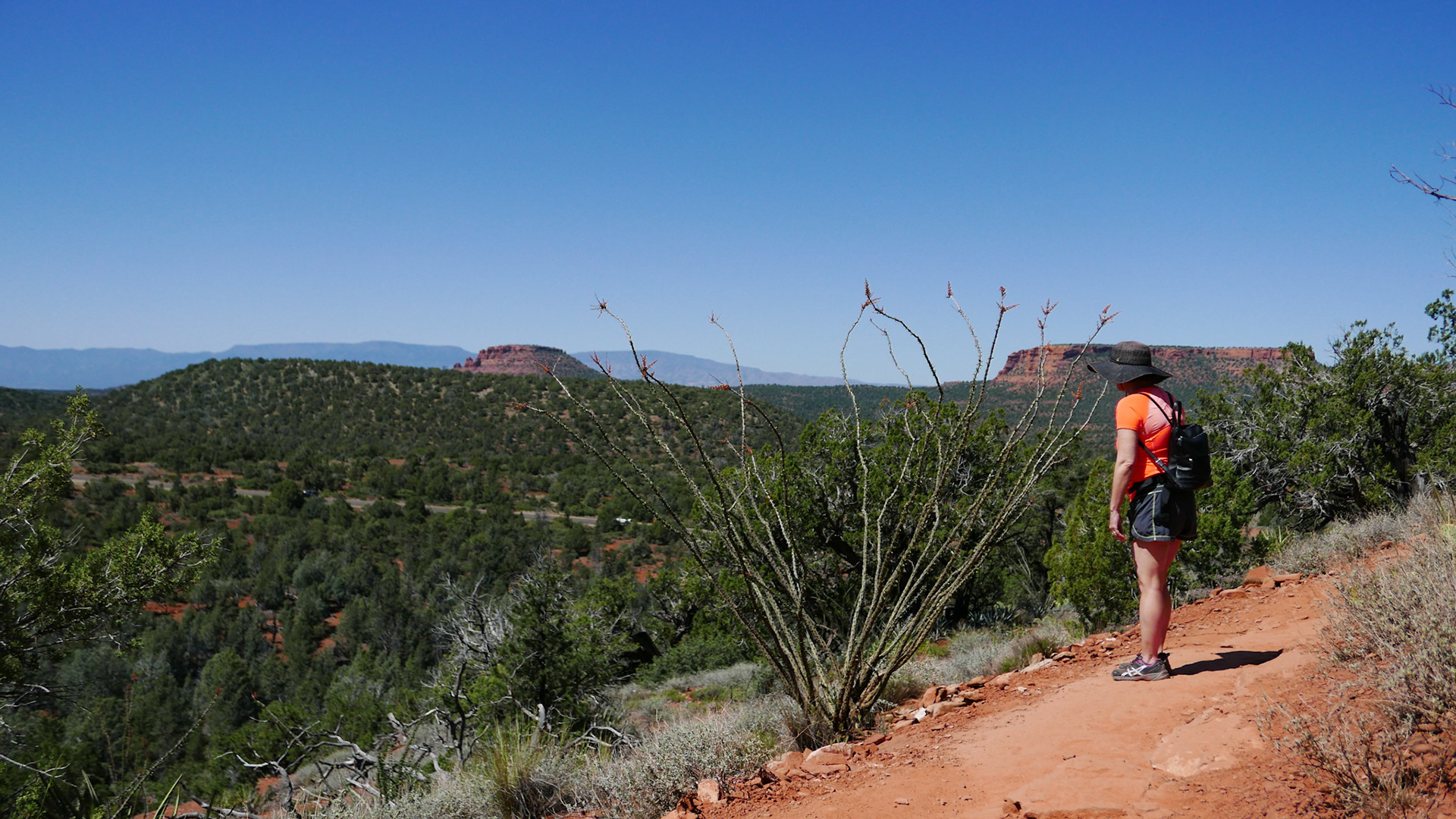 sedona arizona vacation