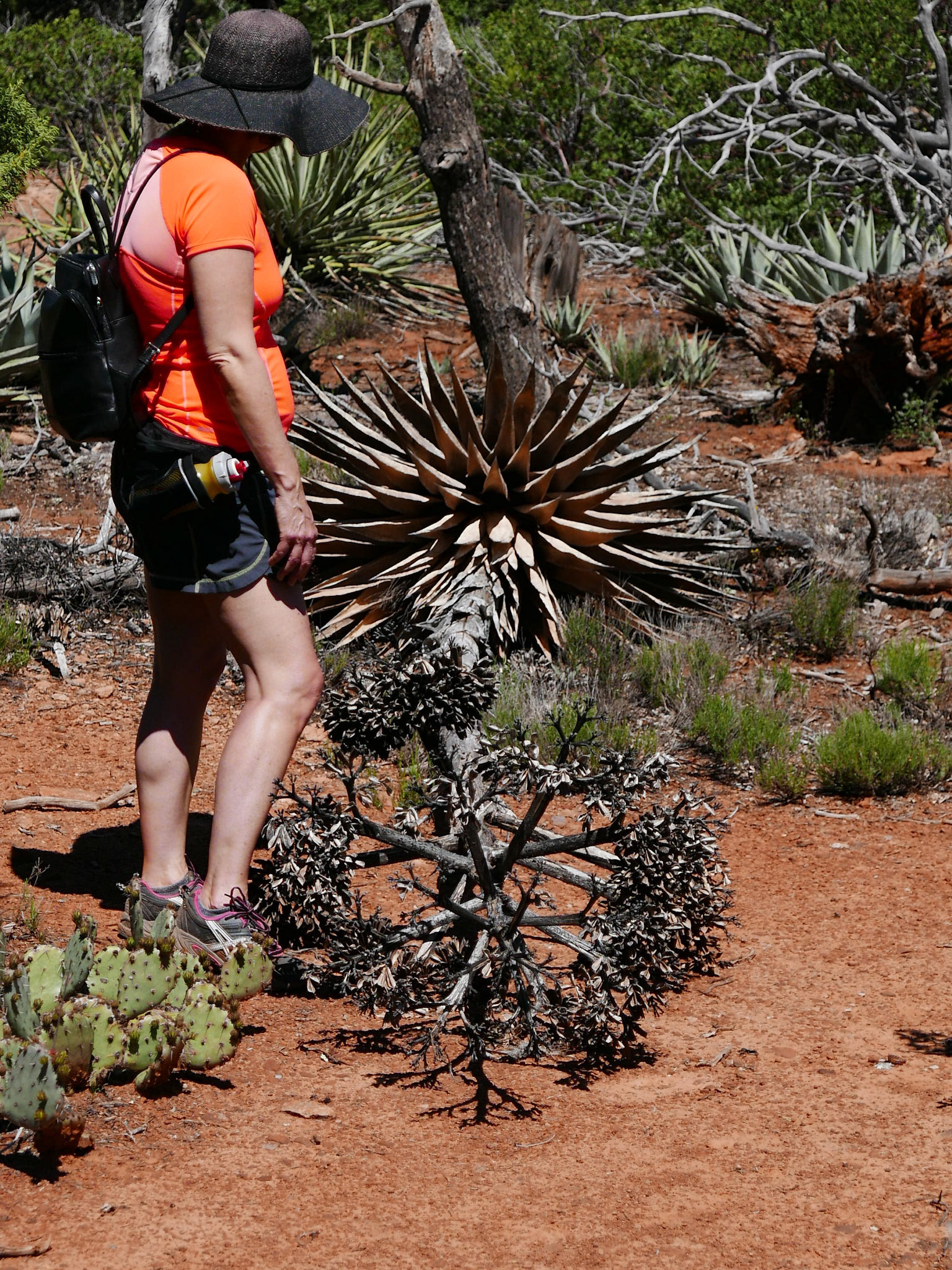 sedona arizona vacation