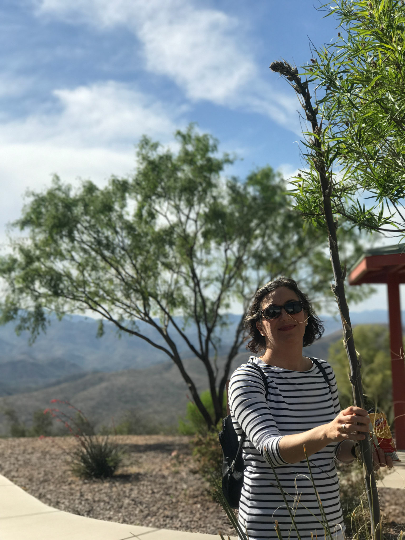 sedona arizona vacation