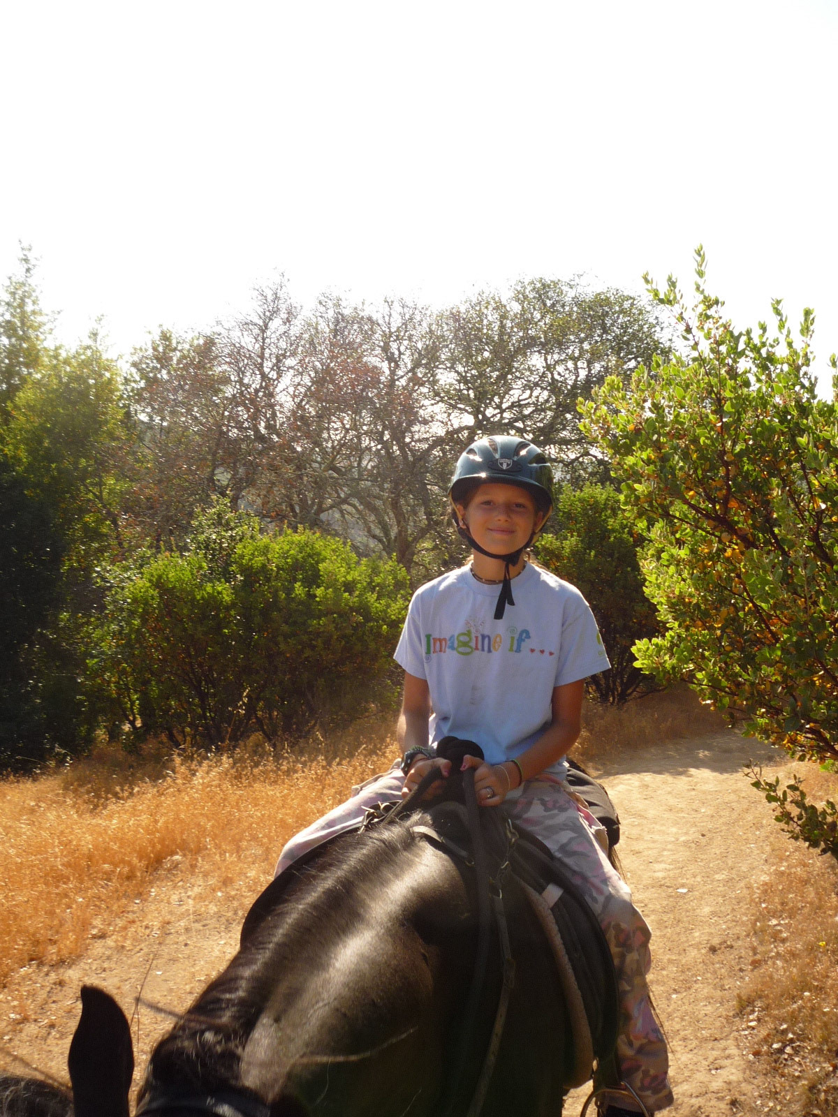 horse