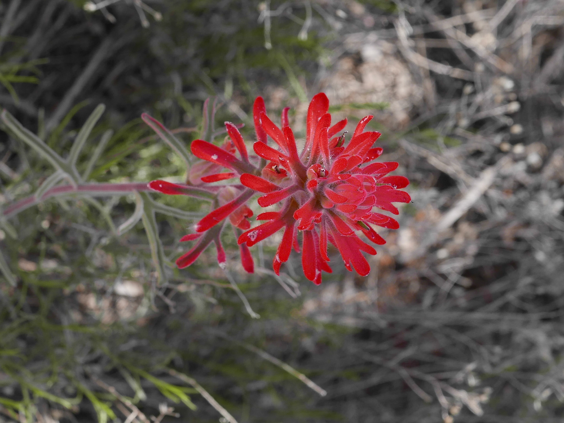 sedona arizona vacation