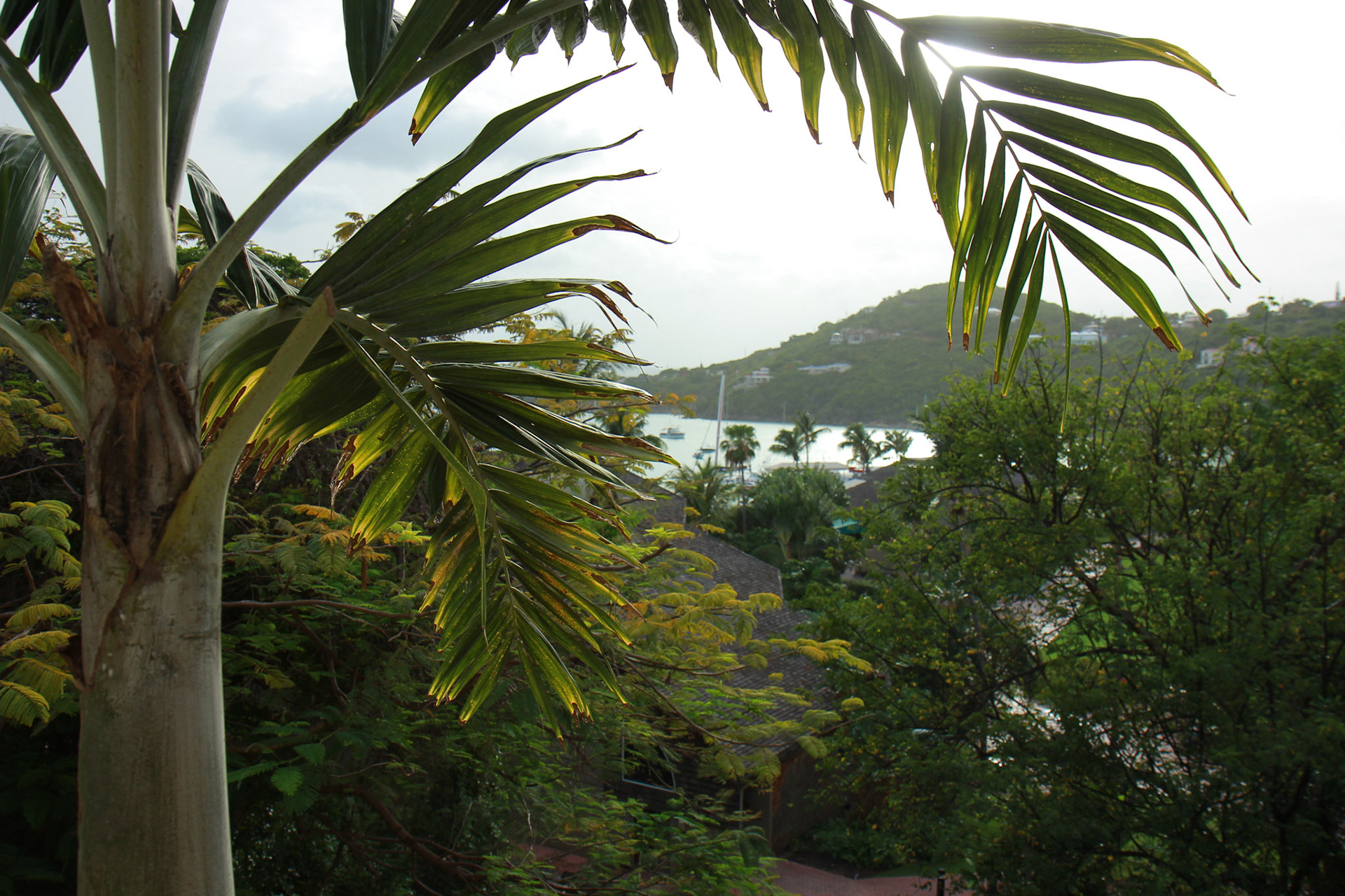 st john vacation