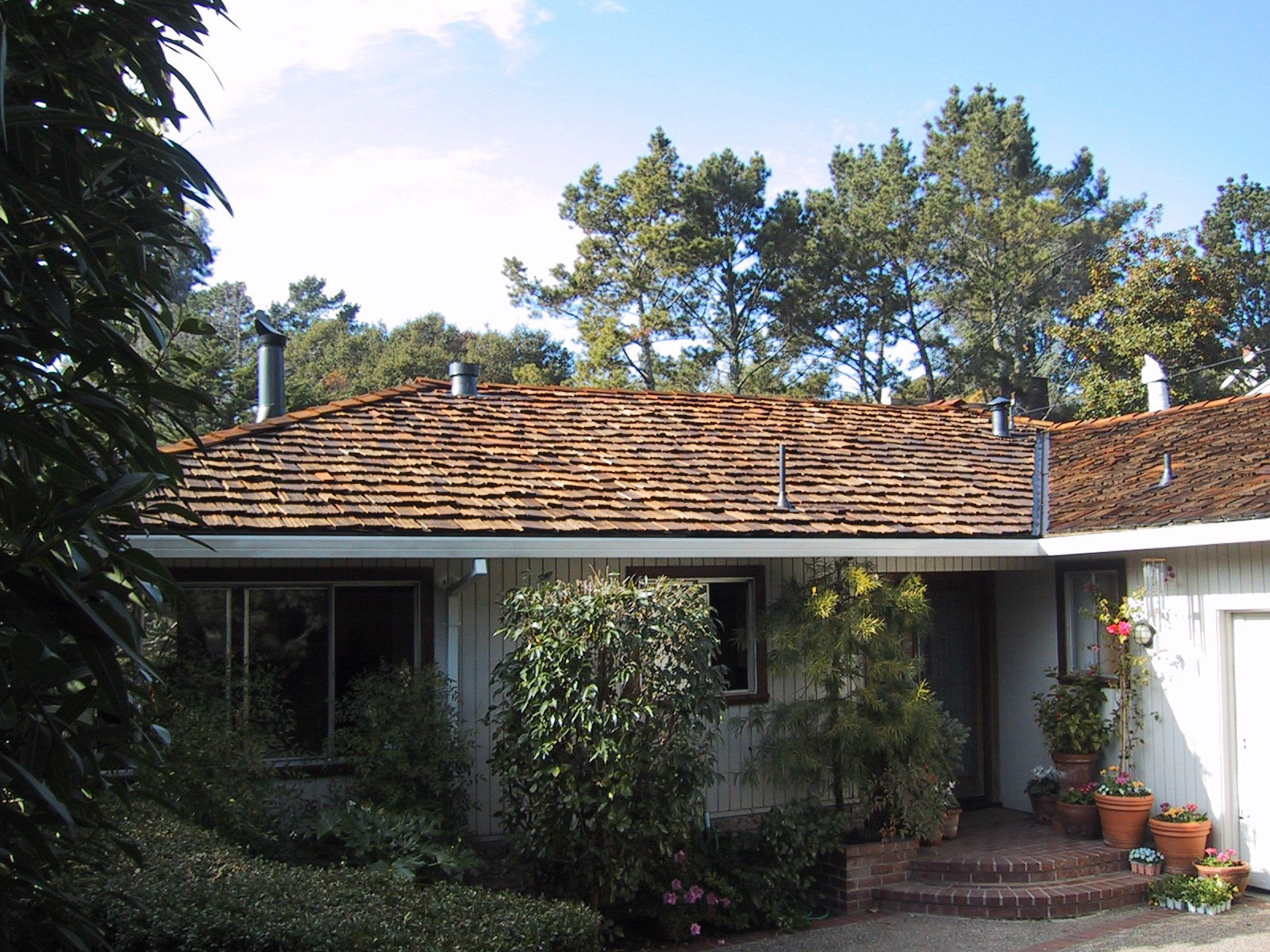 House 77 ecd