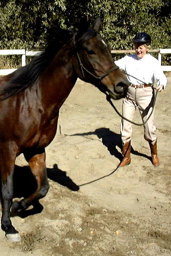 horse