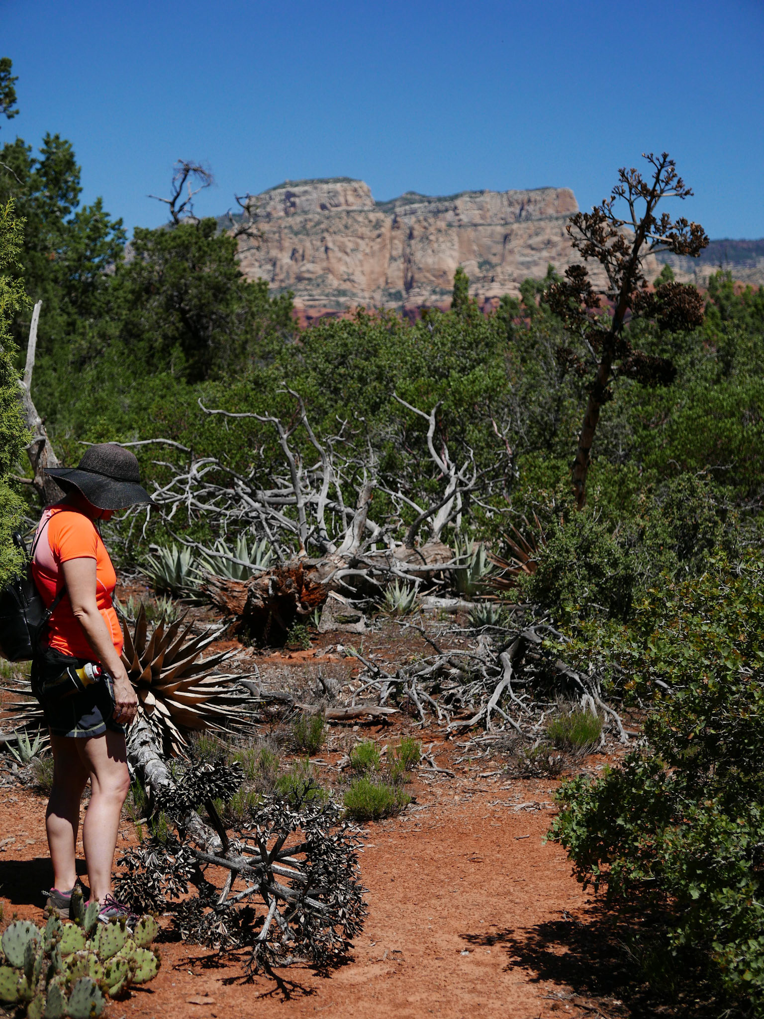 sedona arizona vacation