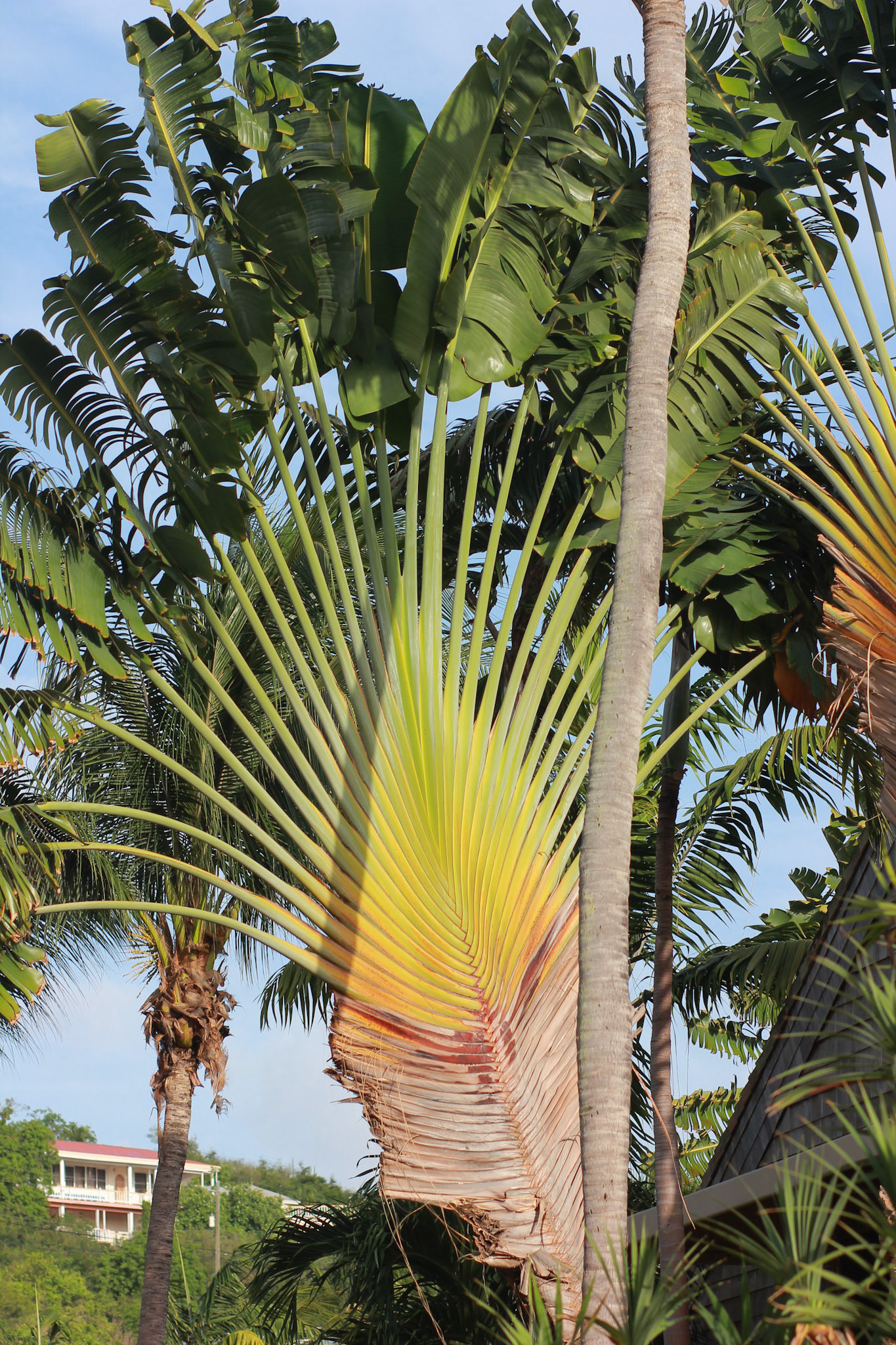 st john vacation