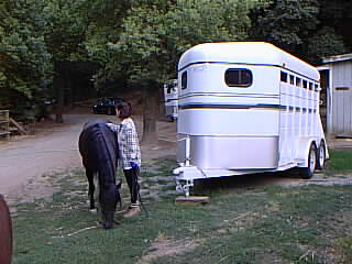 horse