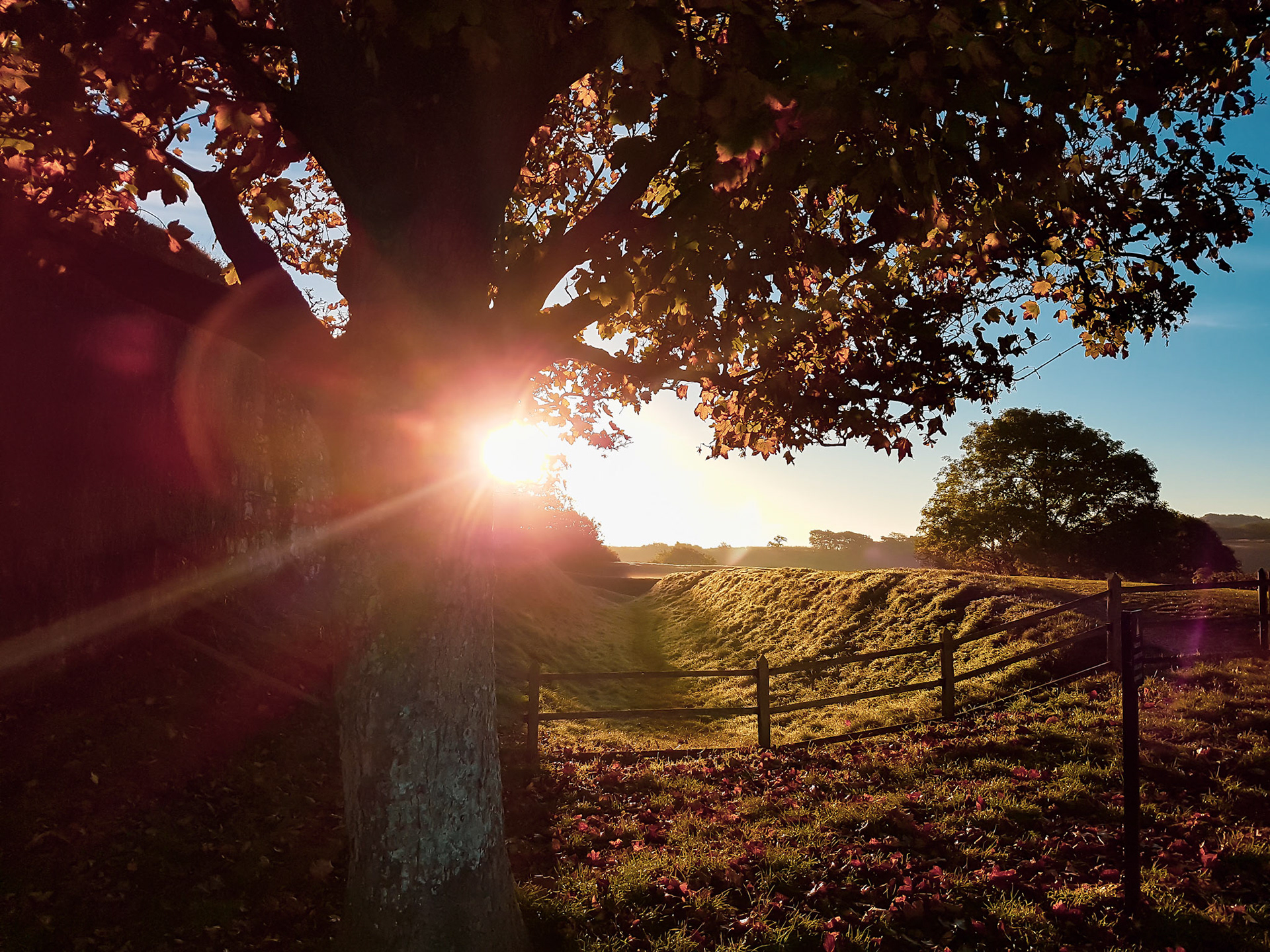 Carisbrooke