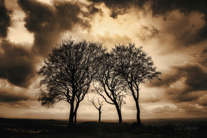 Seven Sisters Round Barrow