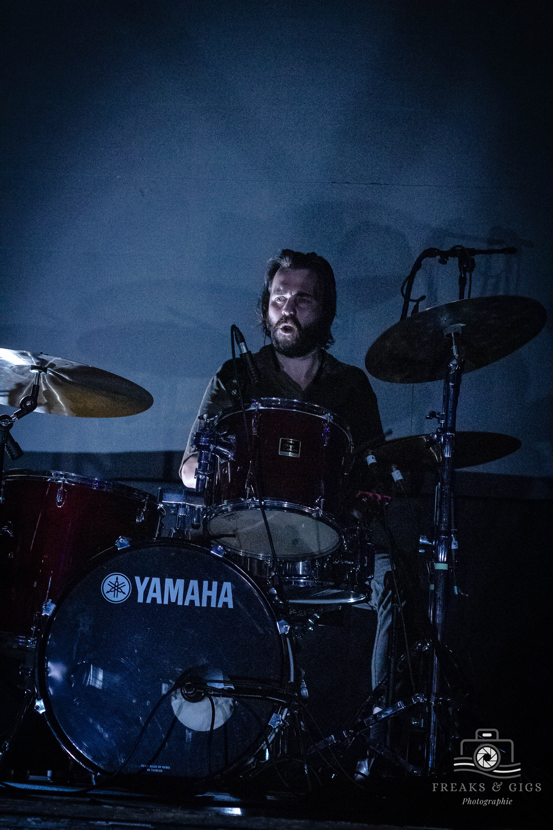 THE NONE - © Freaks&Gigs Photographie, 2024
