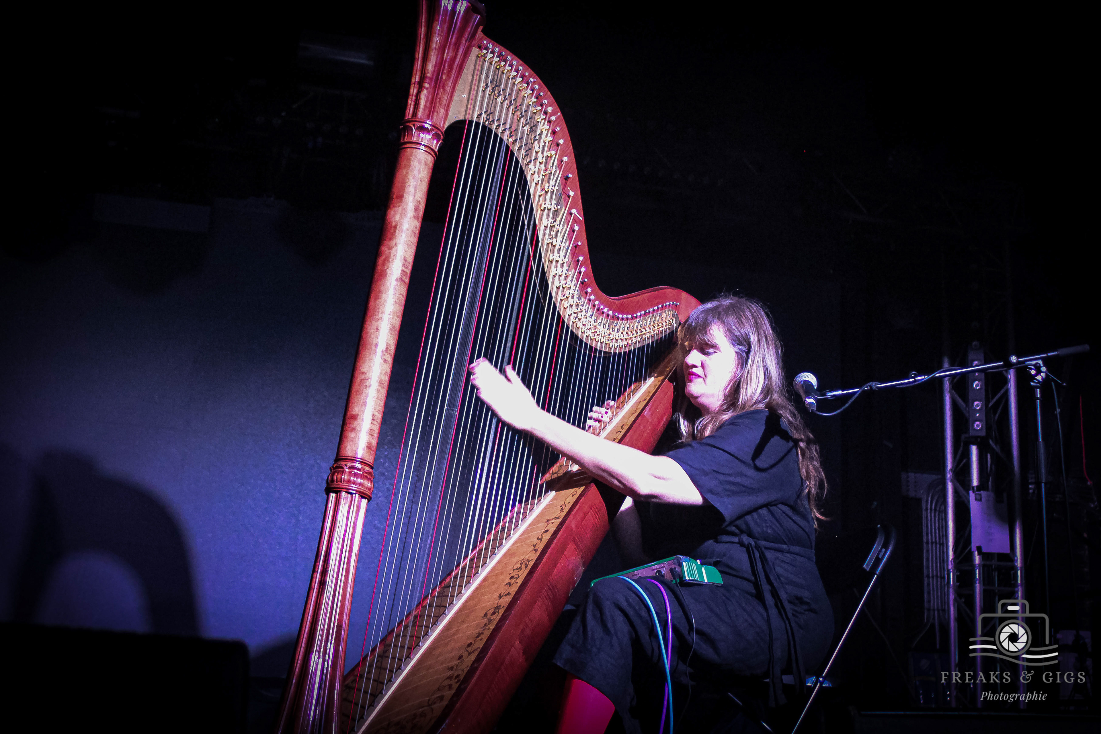 MARY LATTIMORE  - © Freaks&Gigs Photographie, 2024