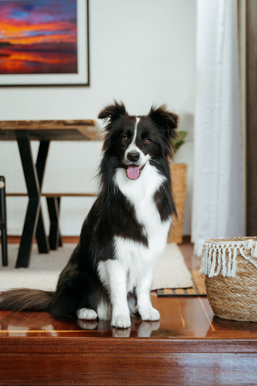 Zola