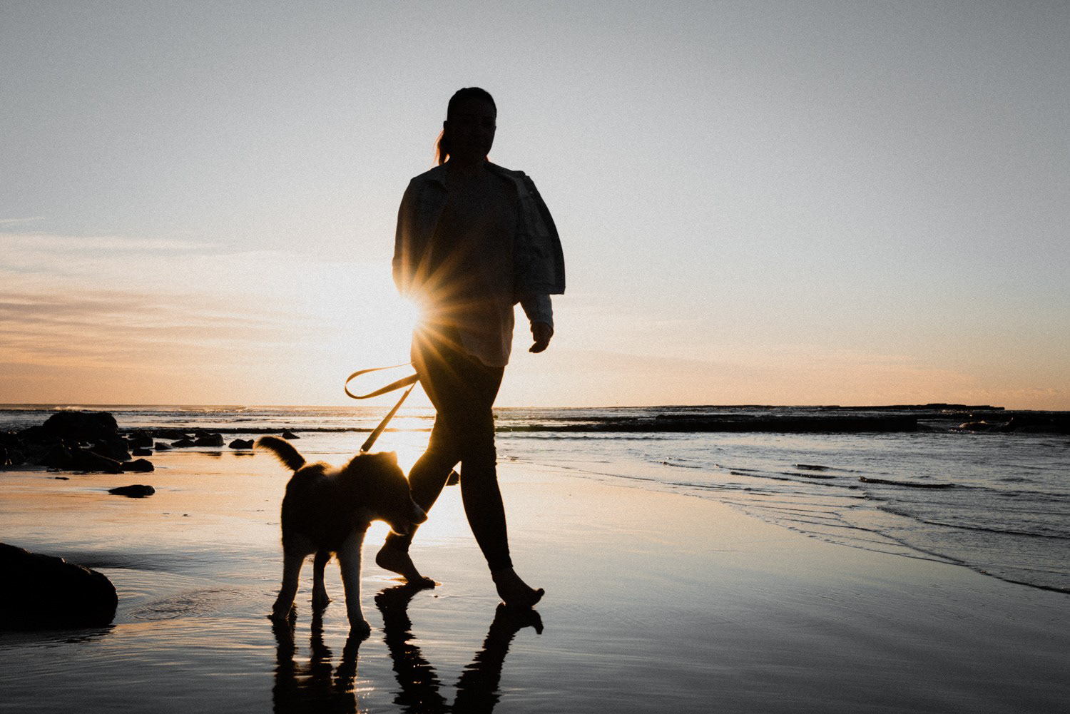 Sunrise with Zola - Little Austi
