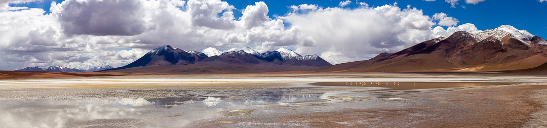 Lago Flamingos Panorâmica