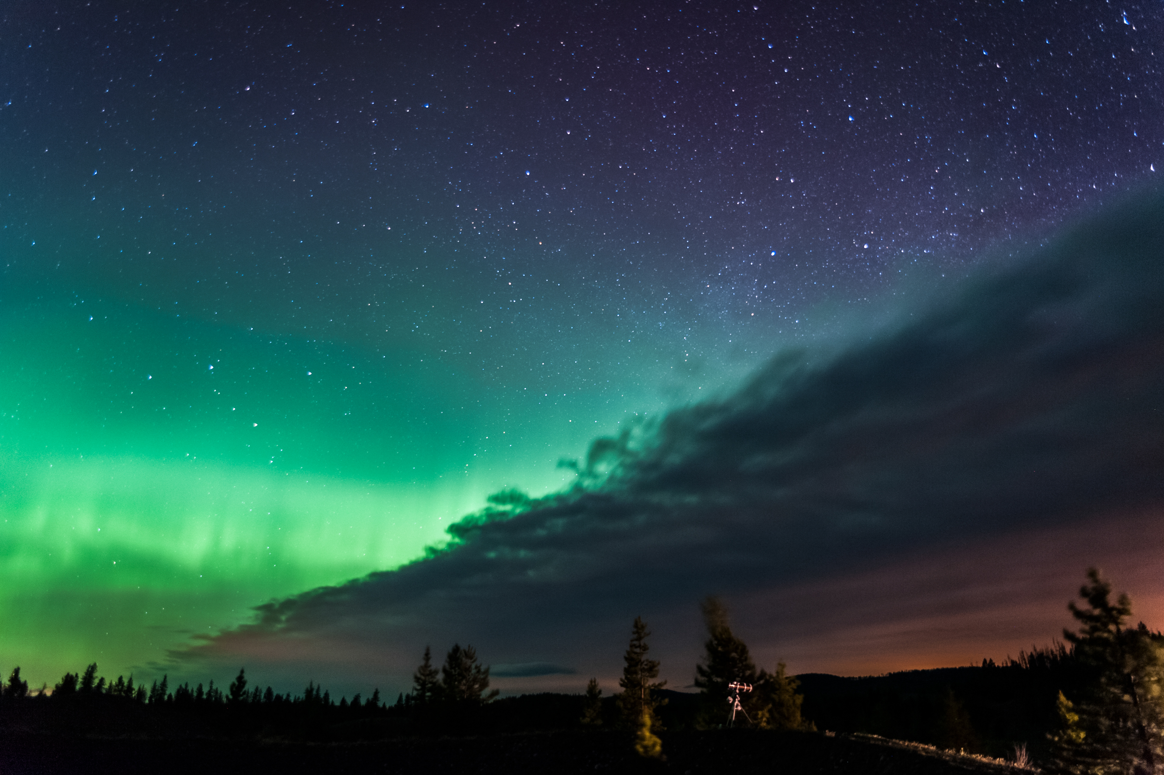 My first sighting of the Northern Lights