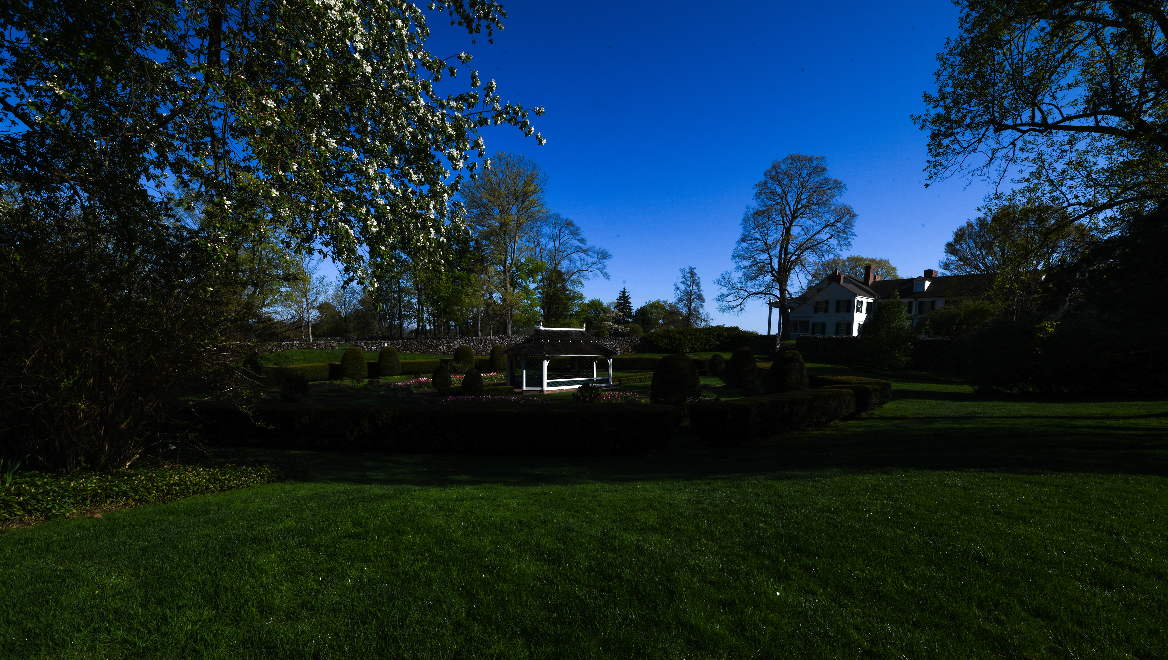 wide angle