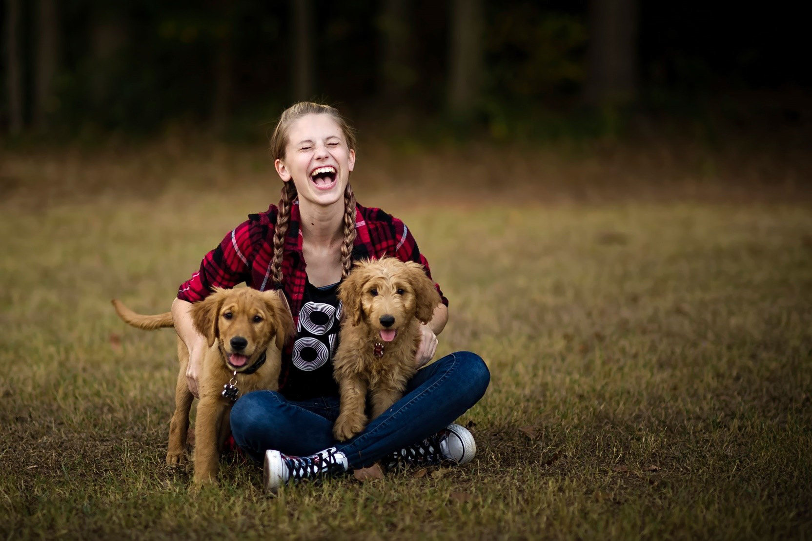 Lindsay...hey world, this is my life and I'm here to live it - and so aren't my pups !