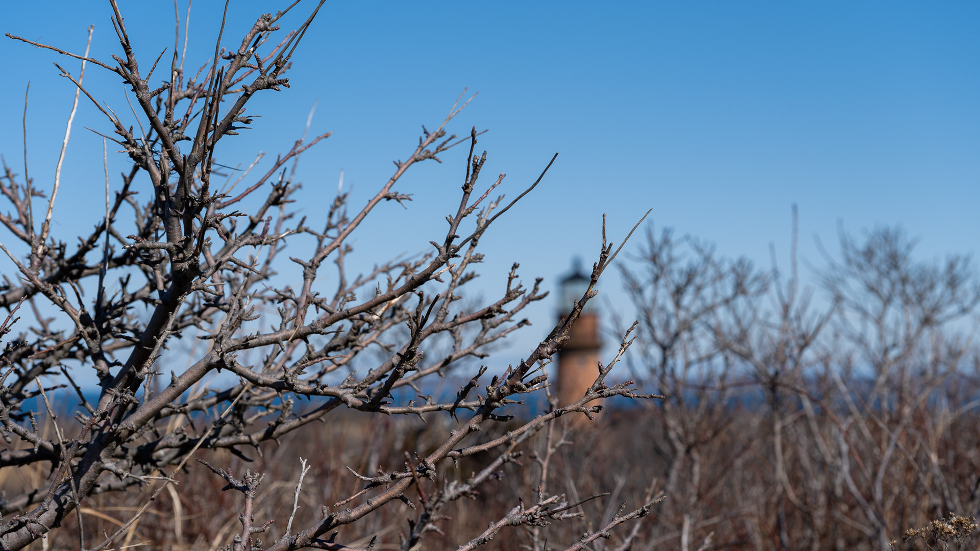 Martha's Vineyard lighthouse - fully operational