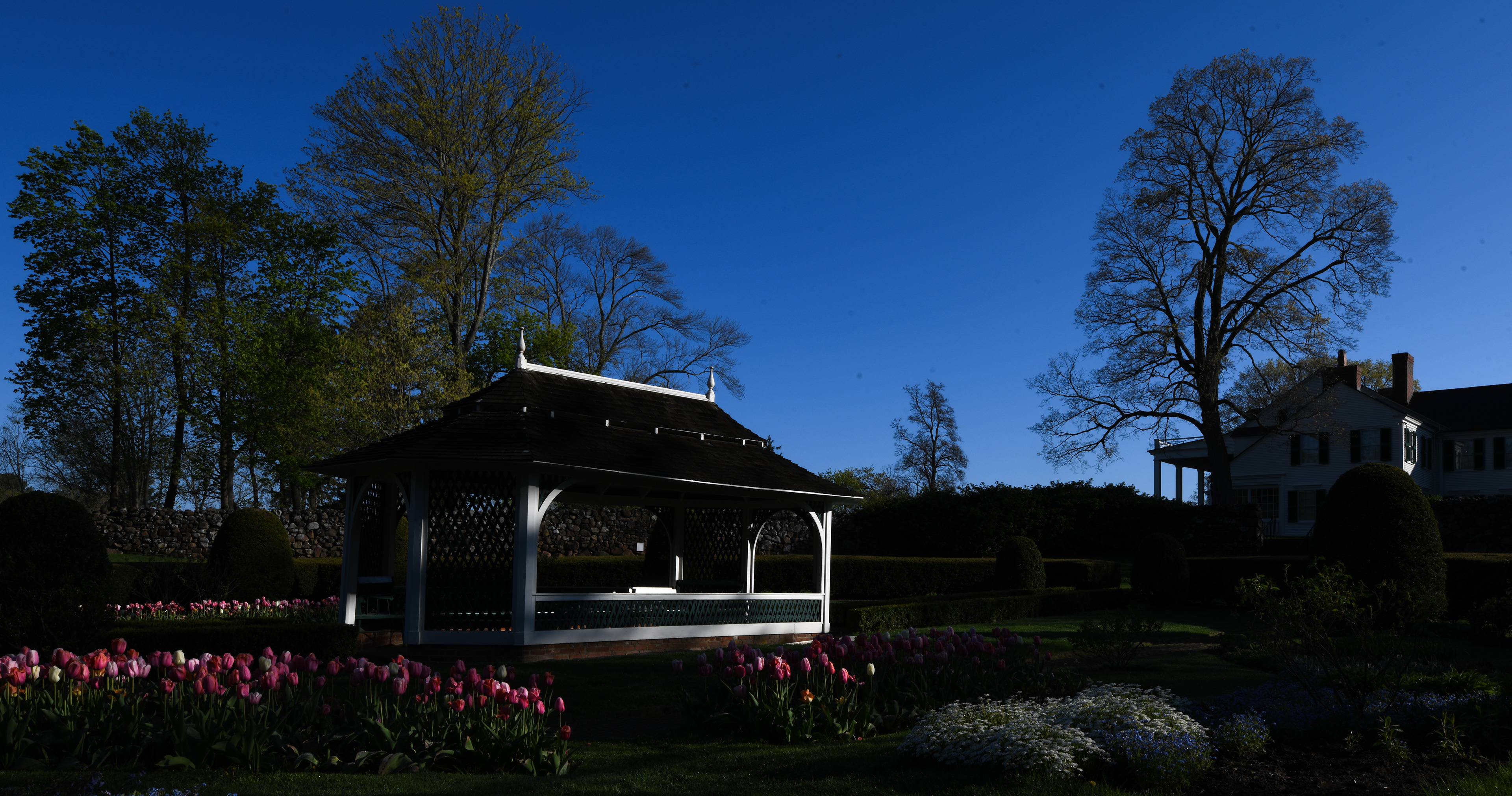 Simply put, there are unlimited opportunities to capture the splendor of Hill-Stead.