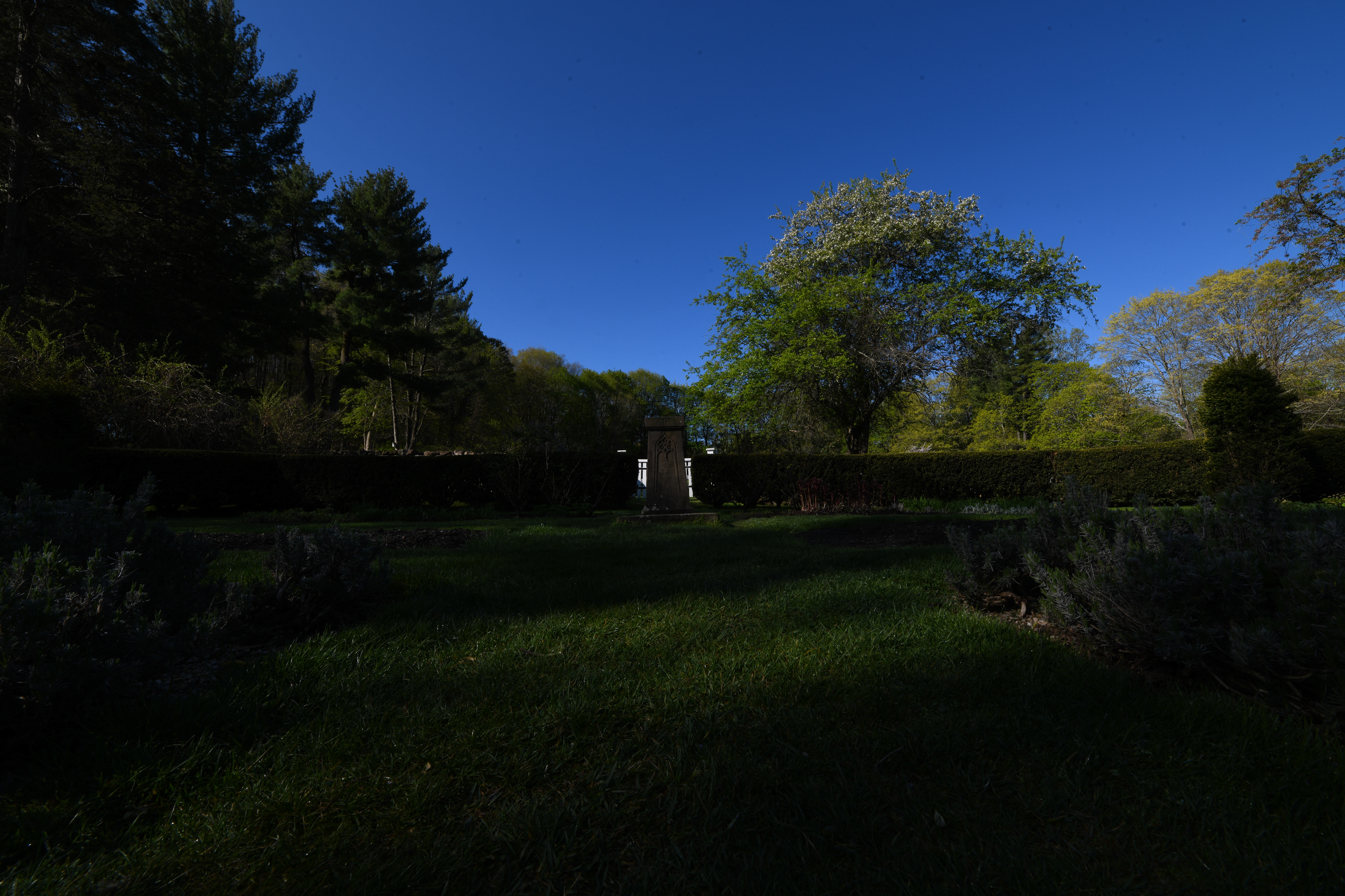 Looking south toward the back pasture.