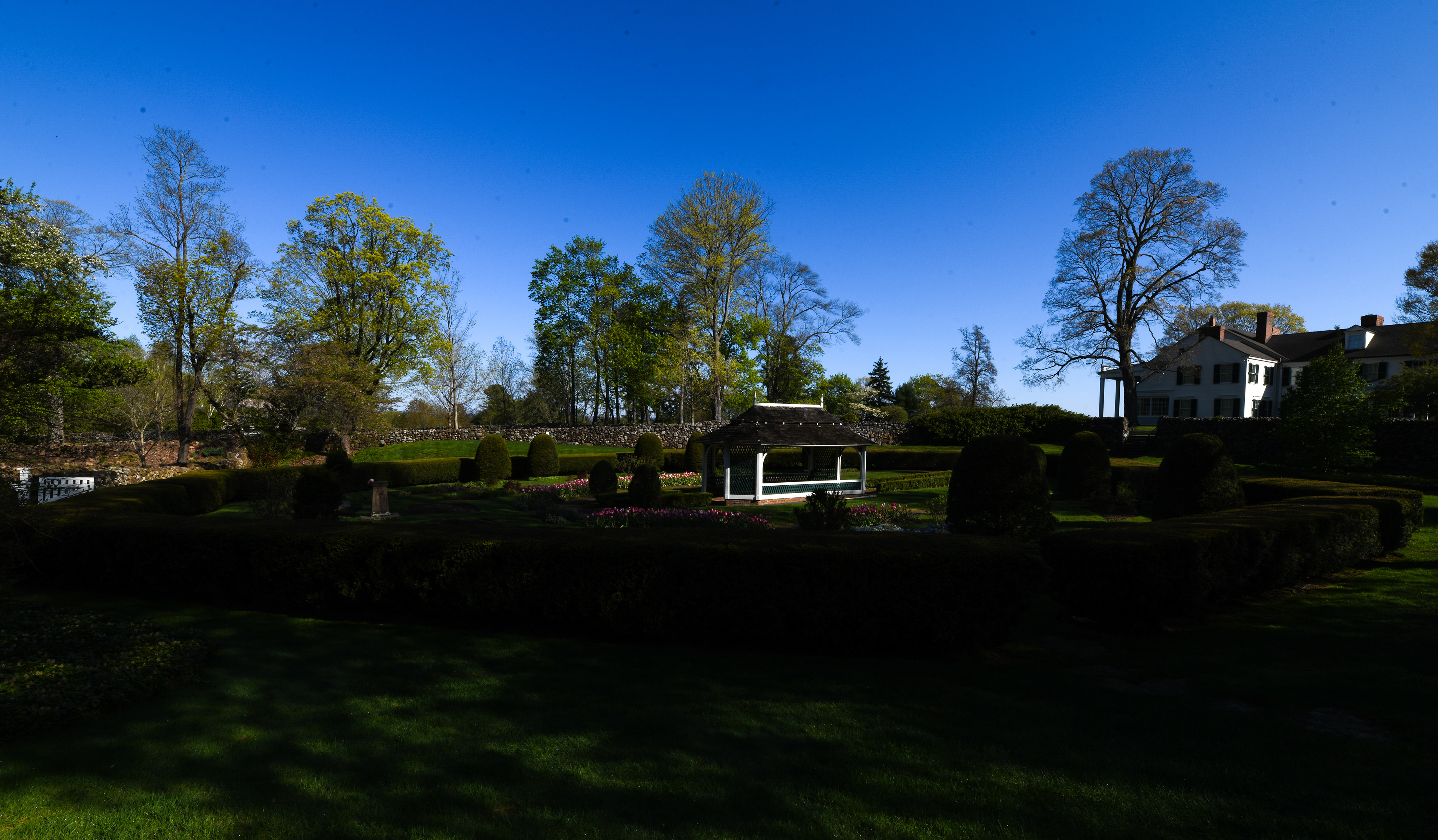 ultra wide angle