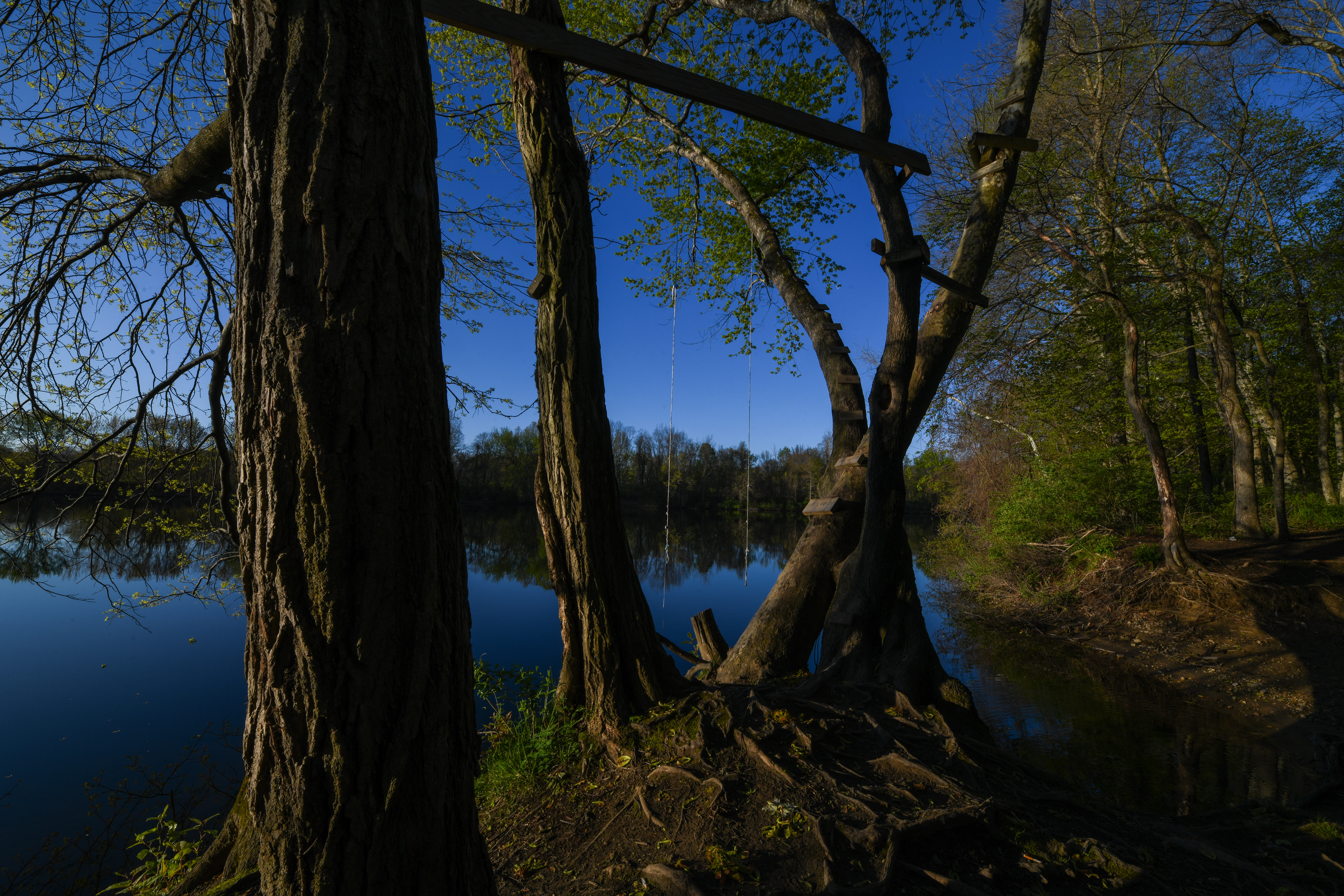 Rope swing