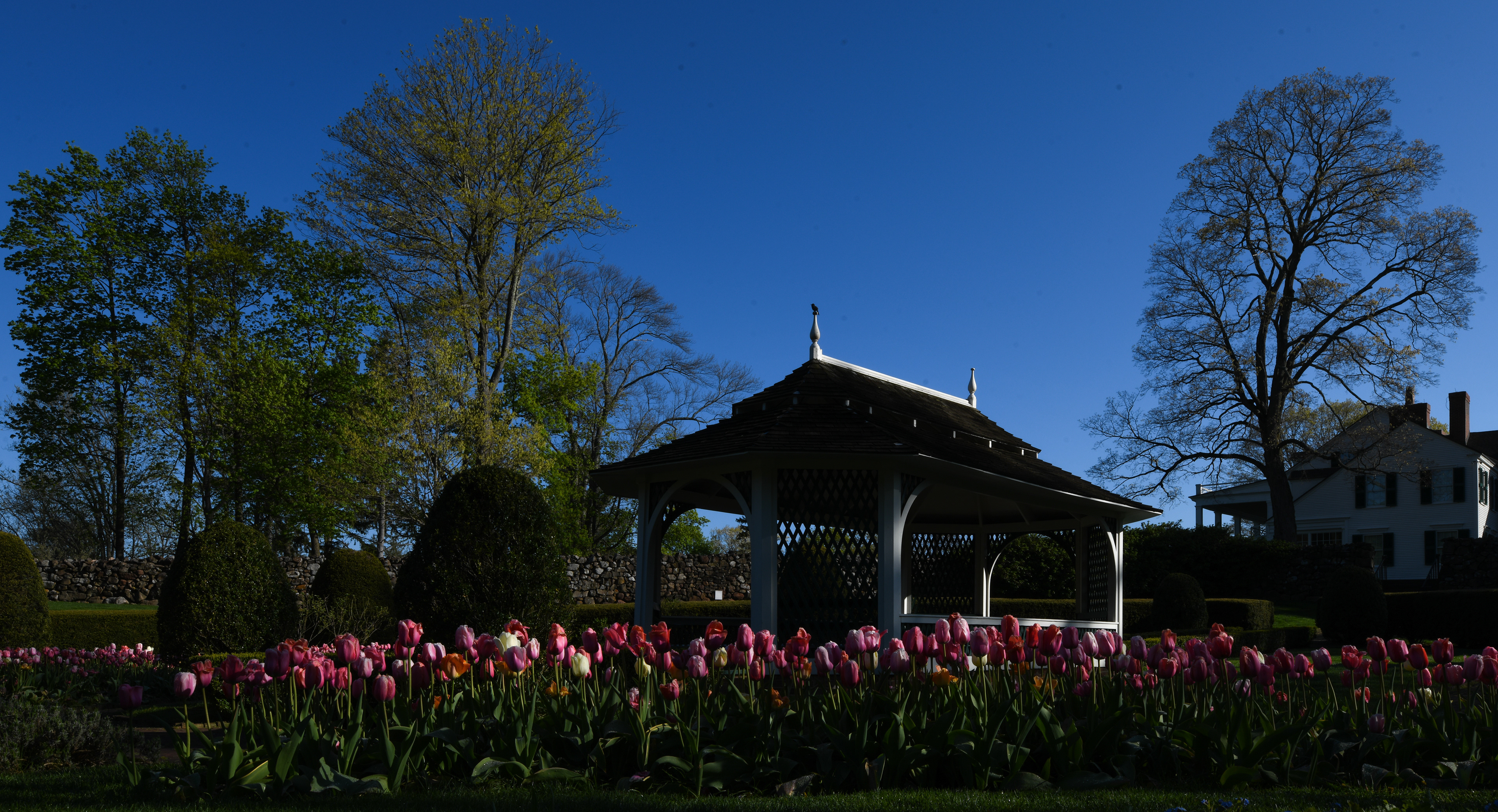 If you look closely, there is a bird sitting atop one of the two peaks of the gazebo (click to enlarge).
