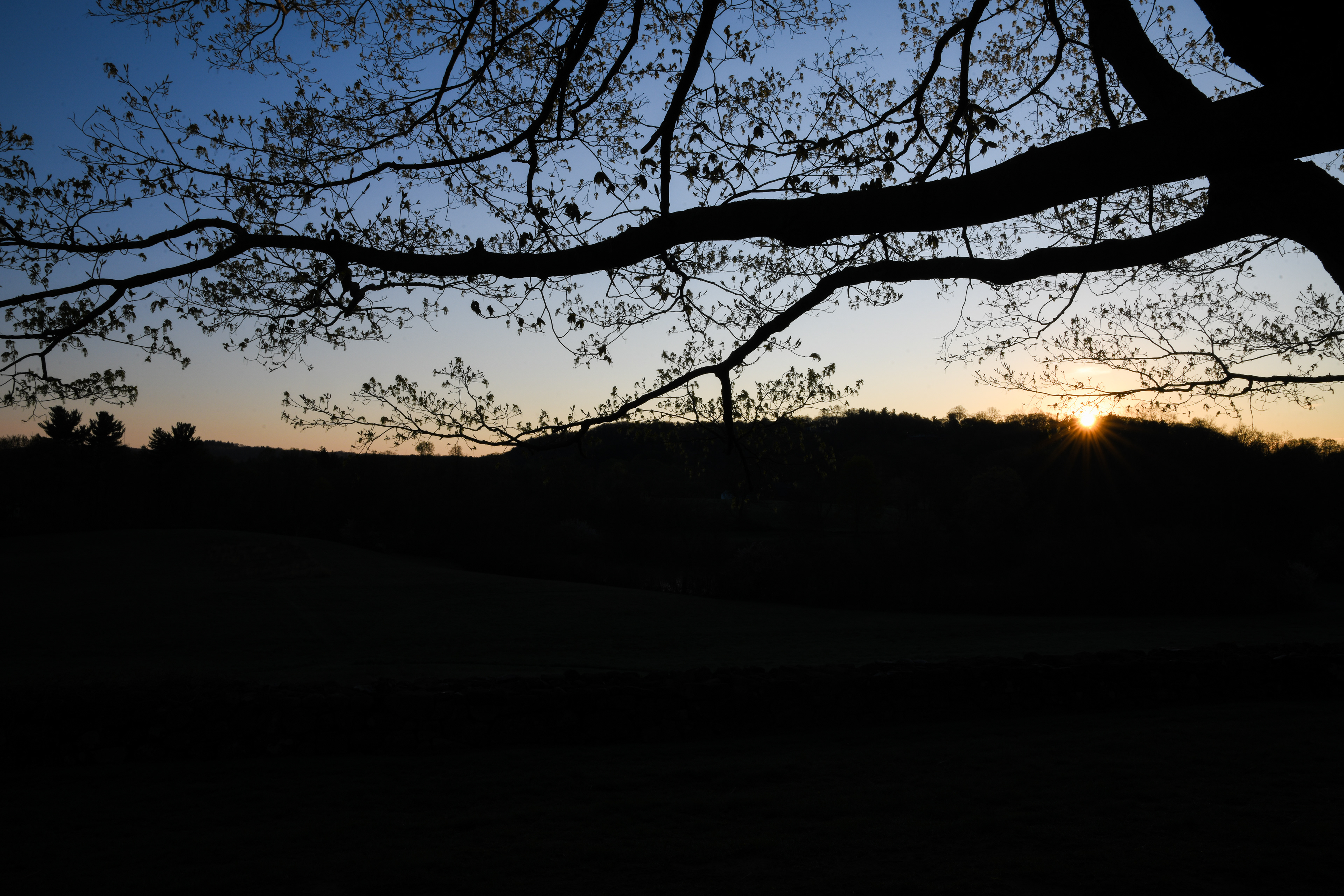Being their only child, her parents came and soon embraced the Farmington Valley and...