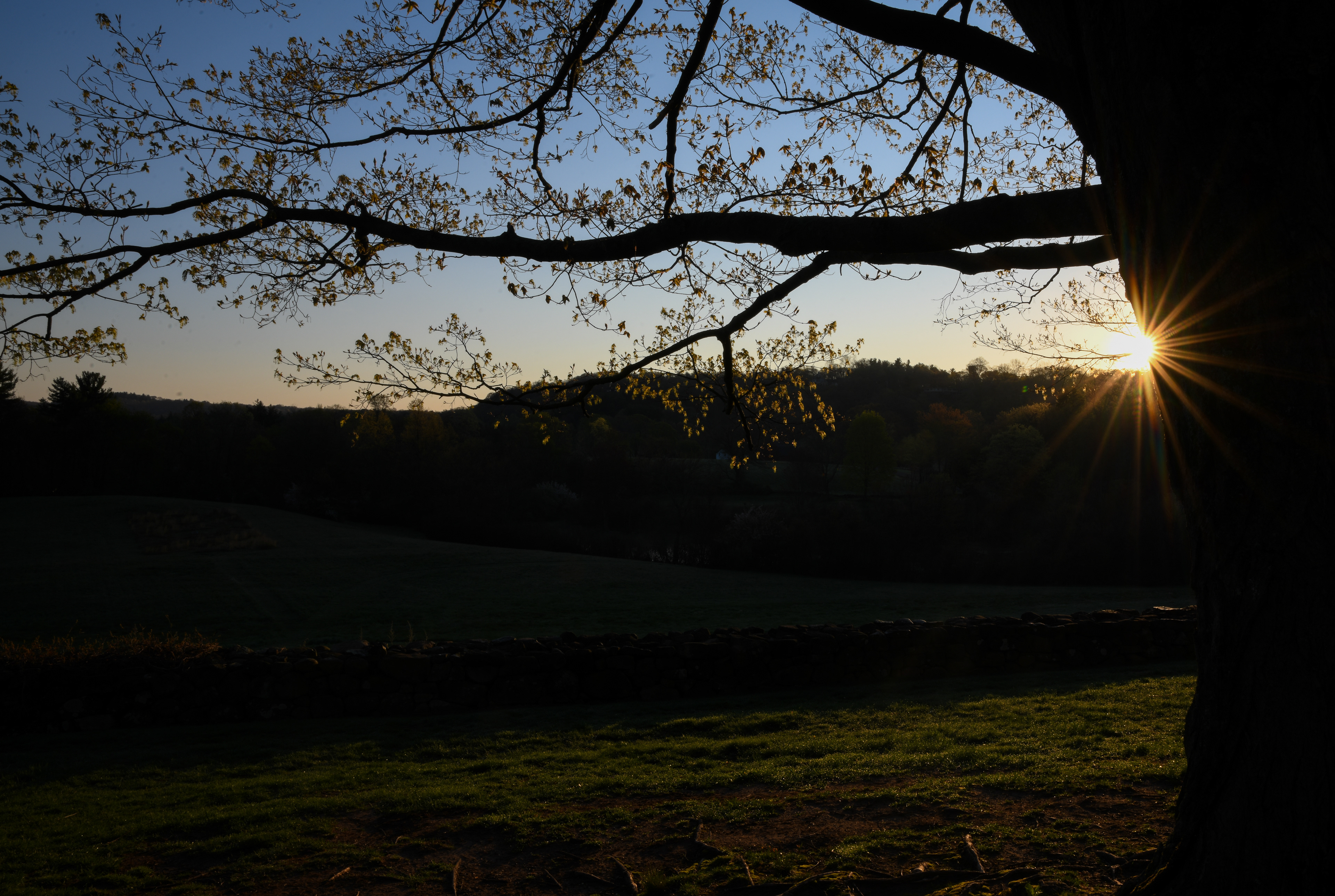 ....purchased a lot of land. Hill-Stead was originally laid out over 250 acres.
