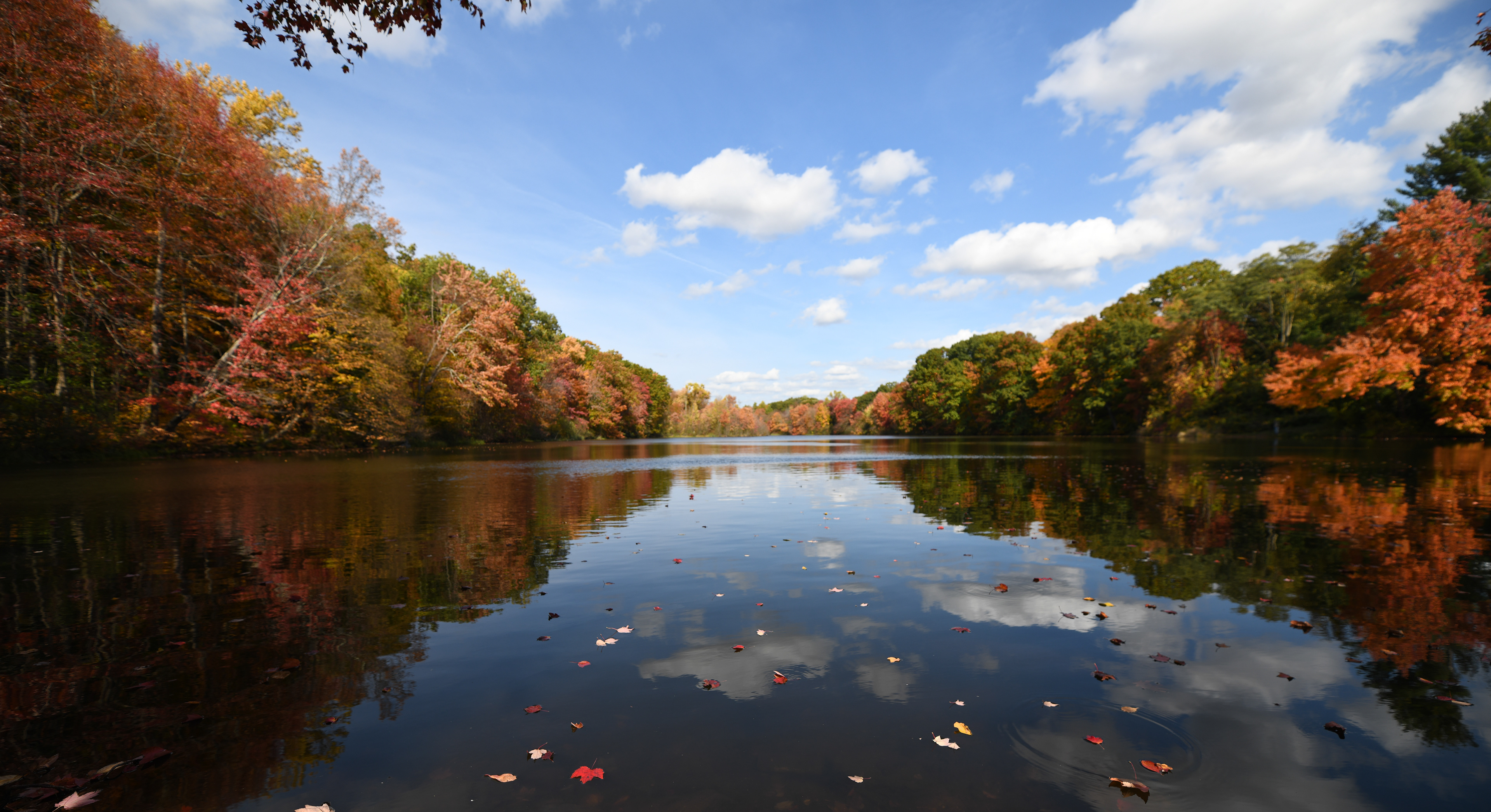 Birge Pond (about 500' from my house) - Bristol, CT - 1