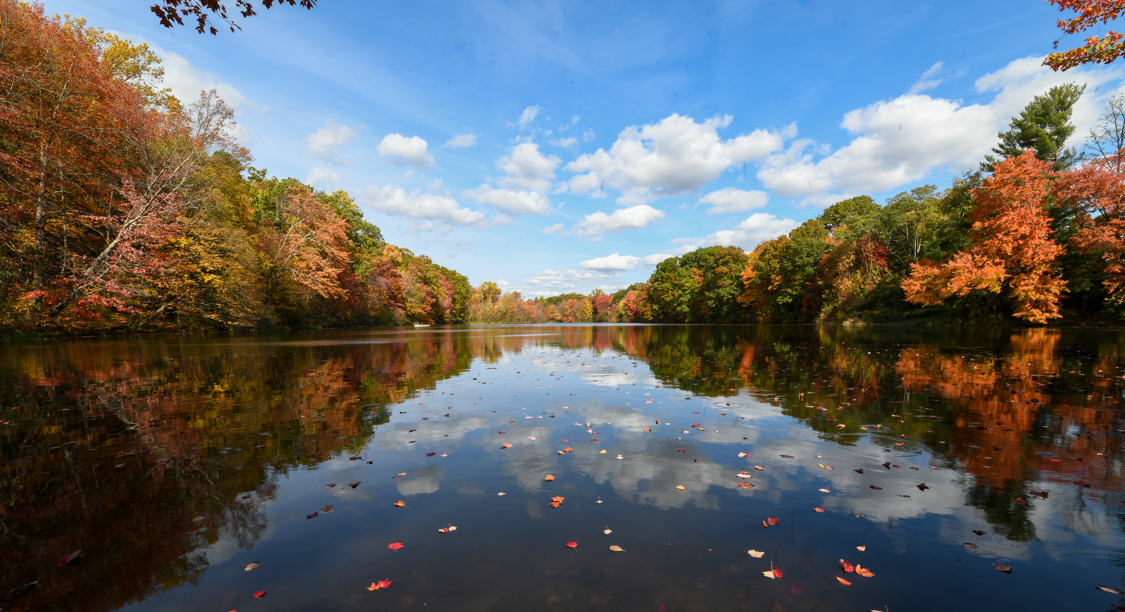 Birge Pond (about 500' from my house) - Bristol, CT - 2