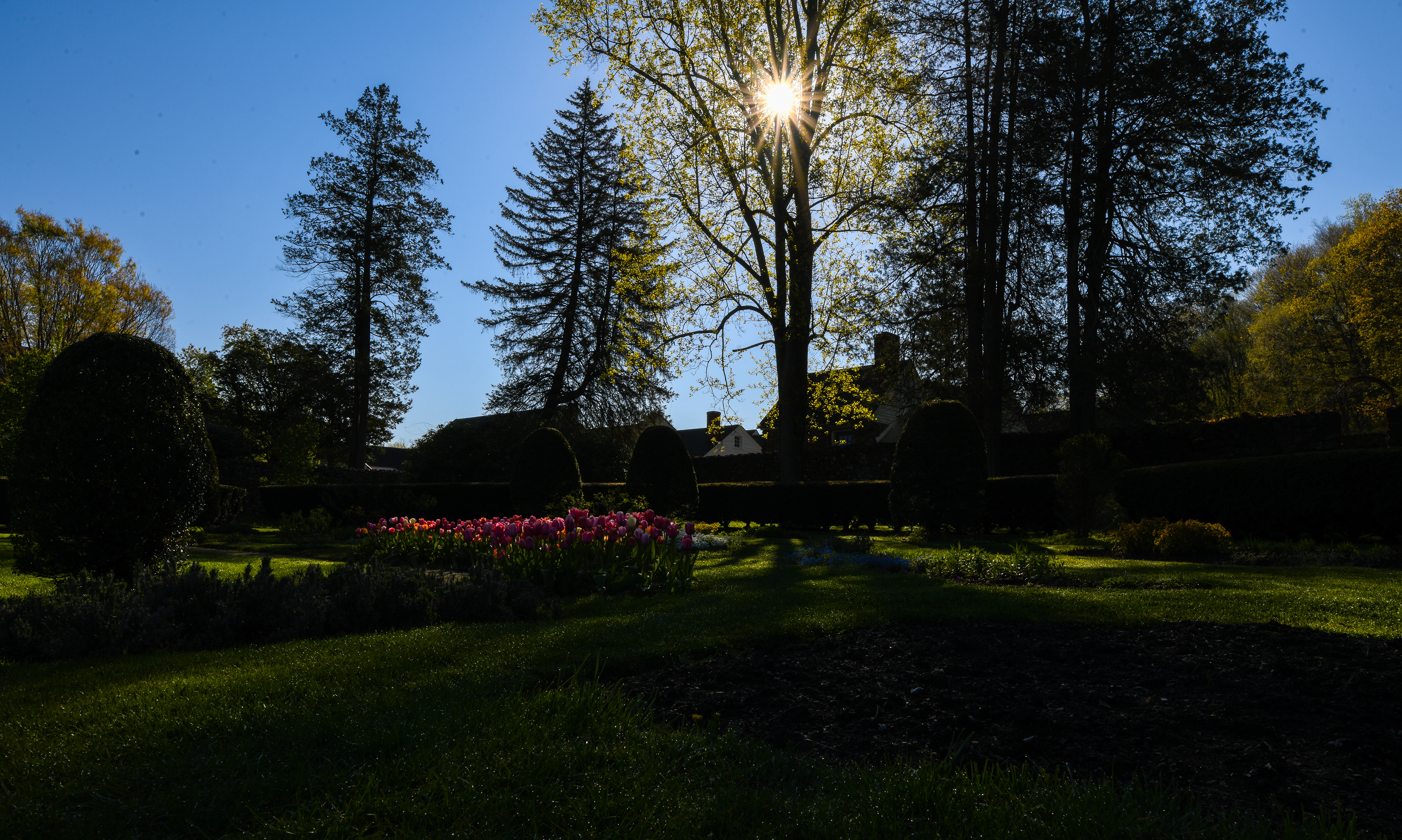 As you can see, almost all of these photos were taken at dawn.